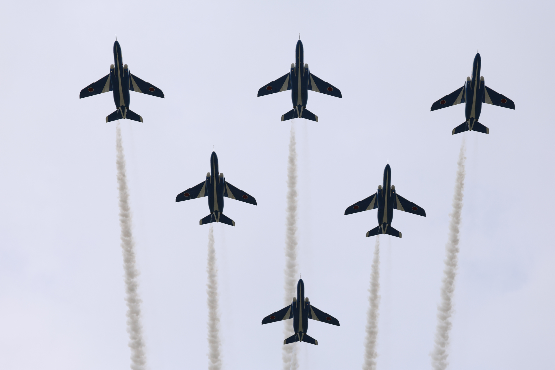 EOS R5 Mark II／RF100-500mm F4.5-7.1 L IS USM／100mm／マニュアル露出（1/2,000秒、F8）／ISO 250／WB:オート