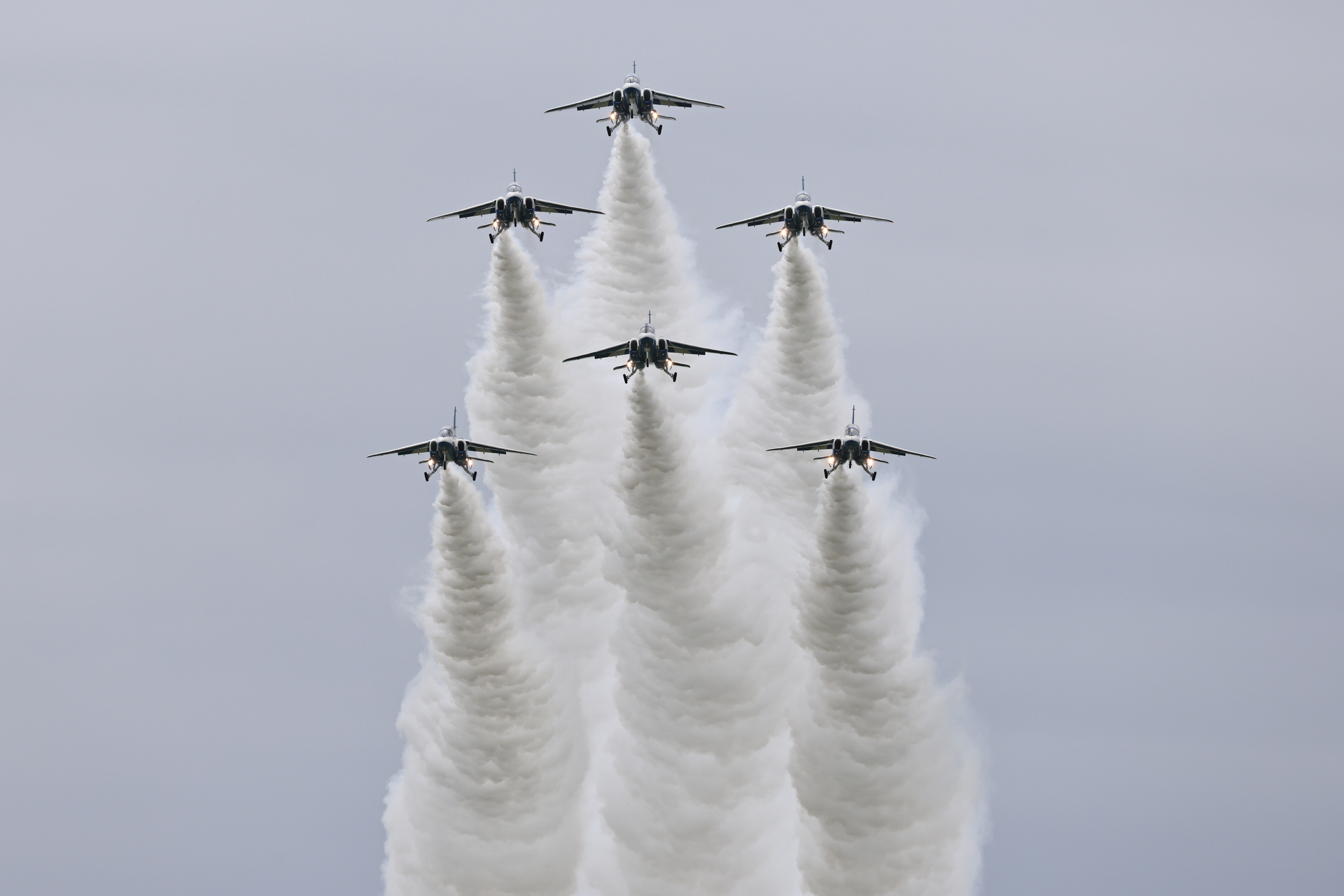 EOS R5 Mark II／RF100-500mm F4.5-7.1 L IS USM／343mm／マニュアル露出（1/20,00秒、F8）／ISO 250／WB:オート