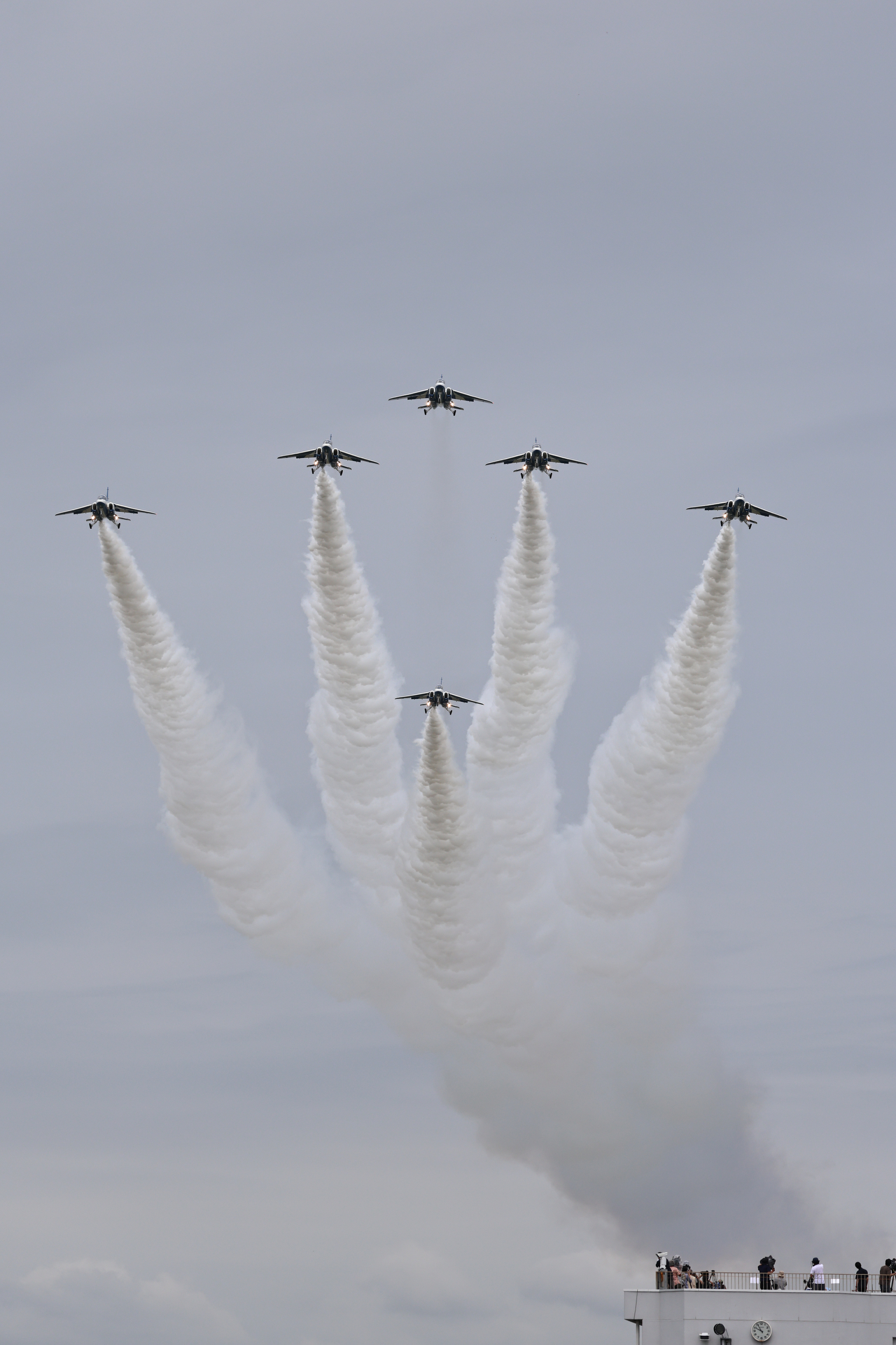 EOS R5 Mark II／RF100-500mm F4.5-7.1 L IS USM／151mm／マニュアル露出（1/2,000秒、F8）／ISO 250／WB:オート