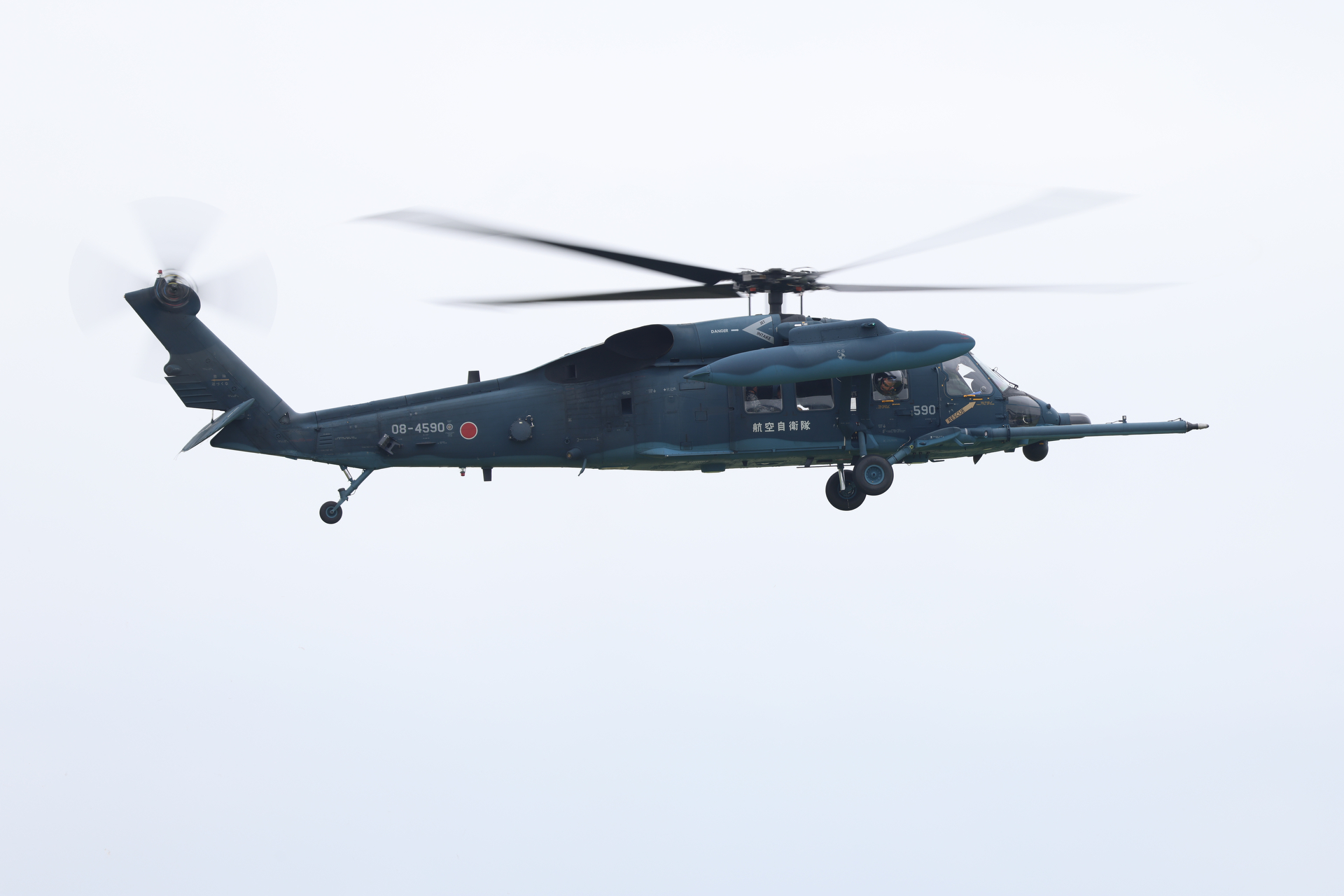 EOS R5 Mark II／RF100-500mm F4.5-7.1 L IS USM／500mm／マニュアル露出（1/125秒、F9）／ISO 100／WB:オート