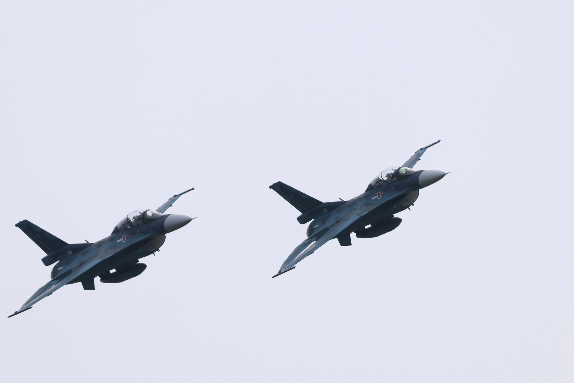 EOS R5 Mark II／RF100-500mm F4.5-7.1 L IS USM／800mm相当（1.6倍クロップ）／マニュアル露出（1/2,500秒、F8）／ISO 640／WB:オート