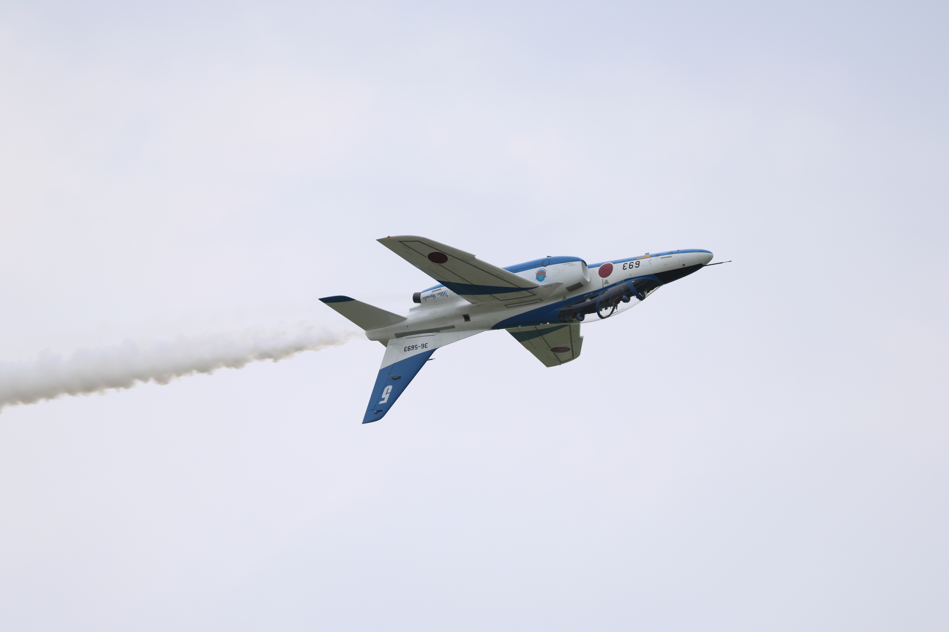 EOS R5 Mark II／RF100-500mm F4.5-7.1 L IS USM／400mm／マニュアル露出（1/2,000秒、F7.1）／ISO 800／WB:オート