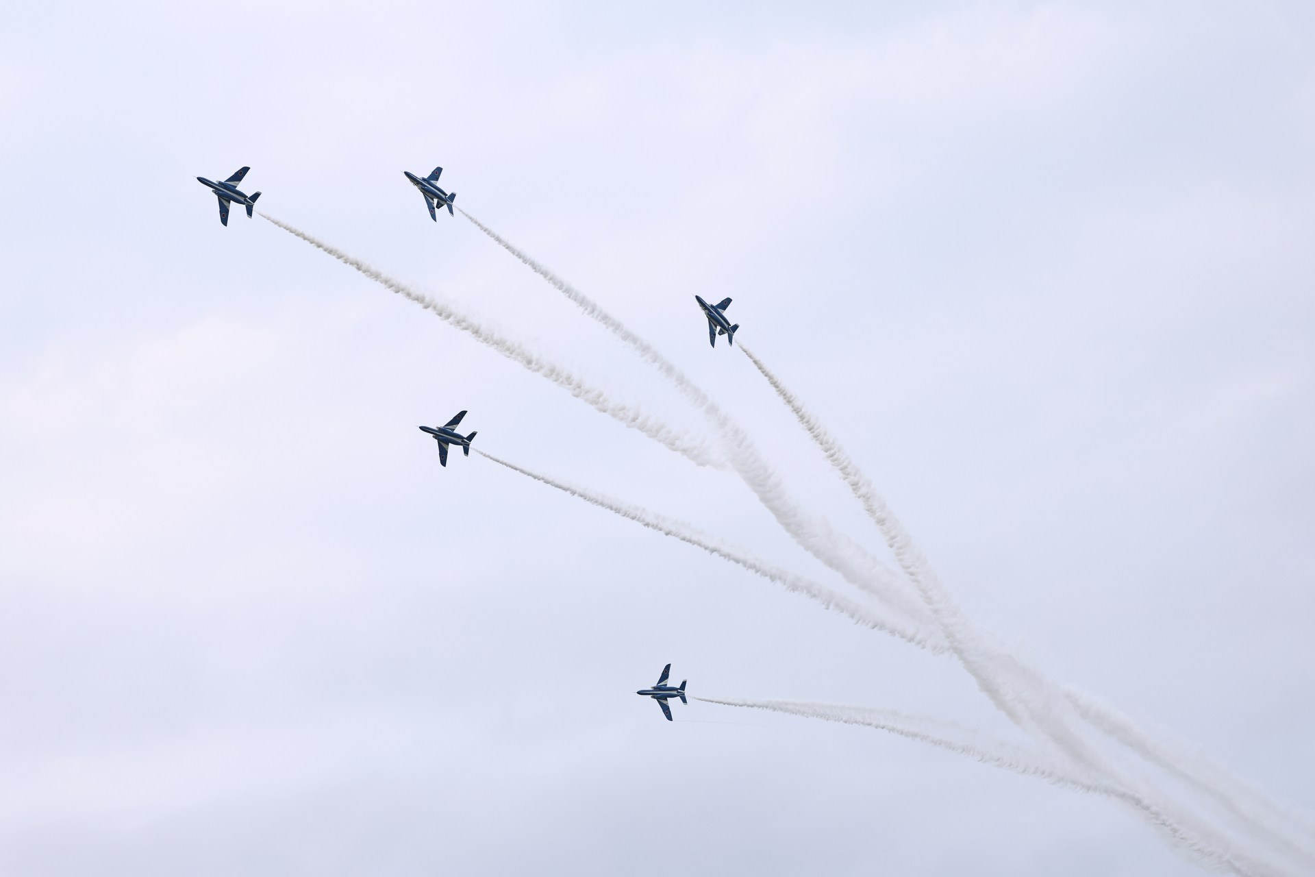 EOS R5 Mark II／RF100-500mm F4.5-7.1 L IS USM／100mm／マニュアル露出（1/2,000秒、F7.1）／ISO 800／WB:オート