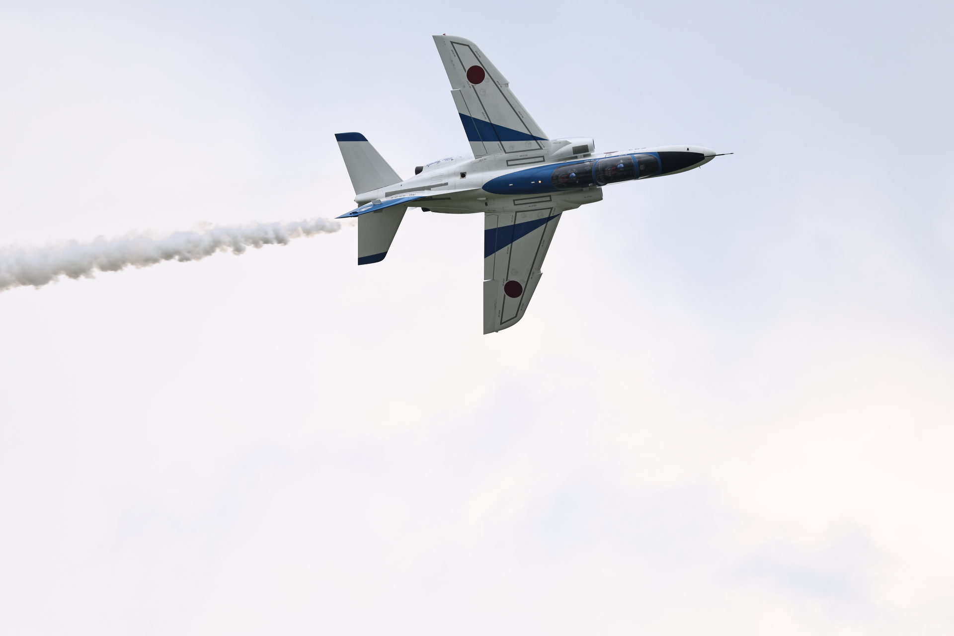 EOS R5 Mark II／RF100-500mm F4.5-7.1 L IS USM／500mm／マニュアル露出（1/2,500秒、F8）／ISO 800／WB:オート