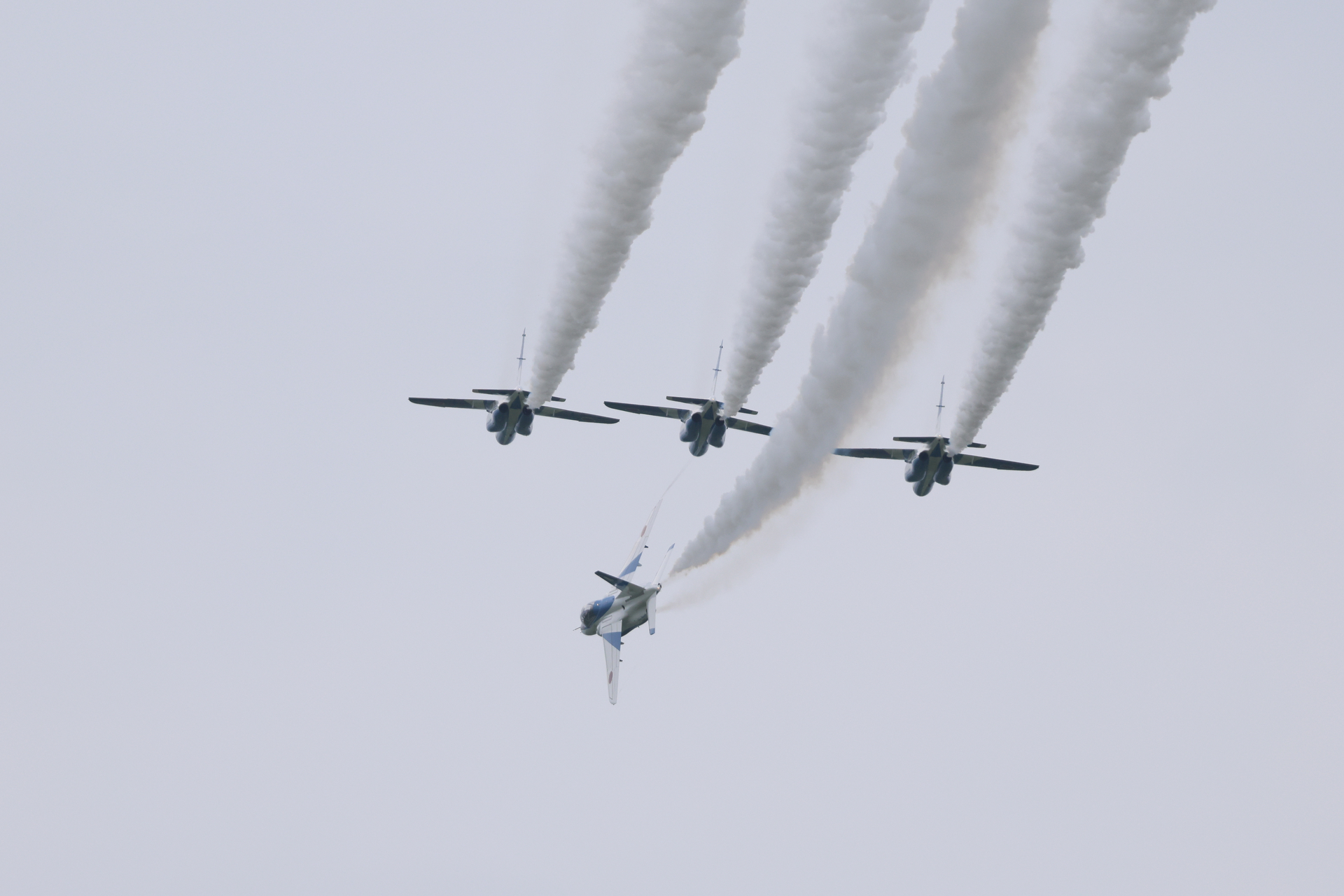 EOS R5 Mark II／RF100-500mm F4.5-7.1 L IS USM／800mm相当（1.6倍クロップ）／マニュアル露出（1/2,500秒、F7.1）／ISO 640／WB:オート