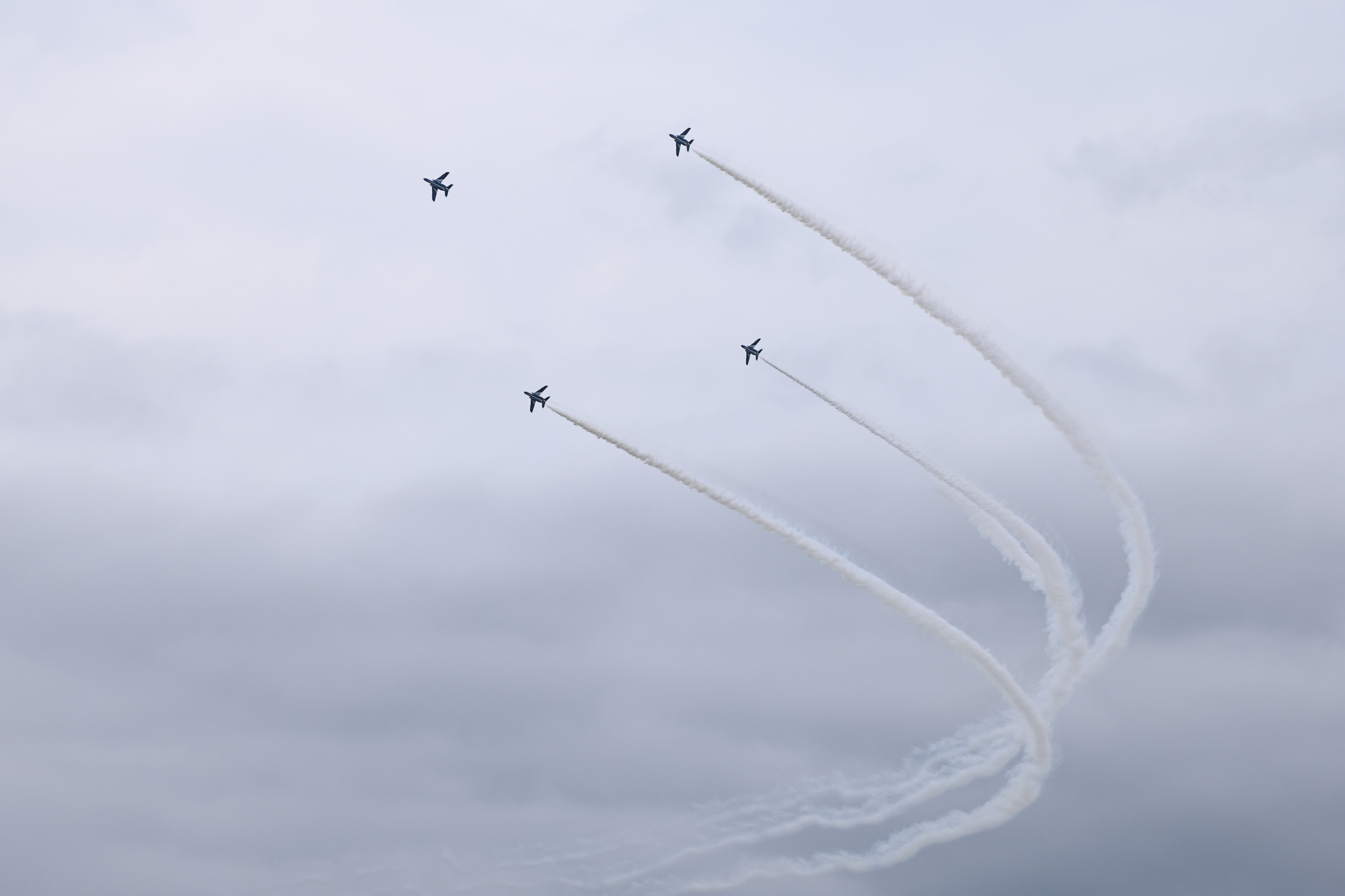 EOS R5 Mark II／RF100-500mm F4.5-7.1 L IS USM／100mm／マニュアル露出（1/2,500秒、F8）／ISO 800／WB:オート