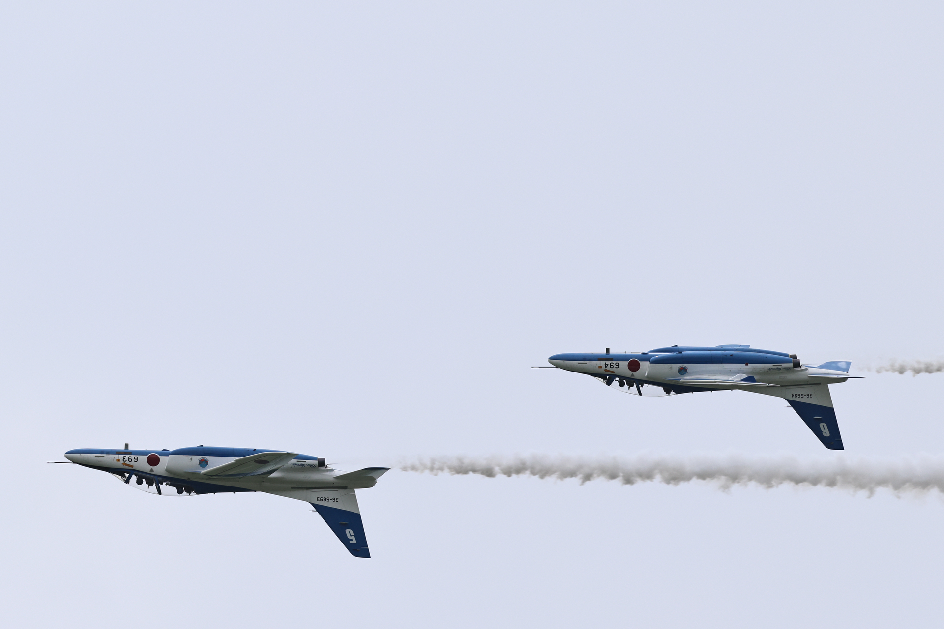 EOS R5 Mark II／RF100-500mm F4.5-7.1 L IS USM／548mm相当（1.6倍クロップ）／マニュアル露出（1/2,500秒、F7.1）／ISO 640／WB:オート