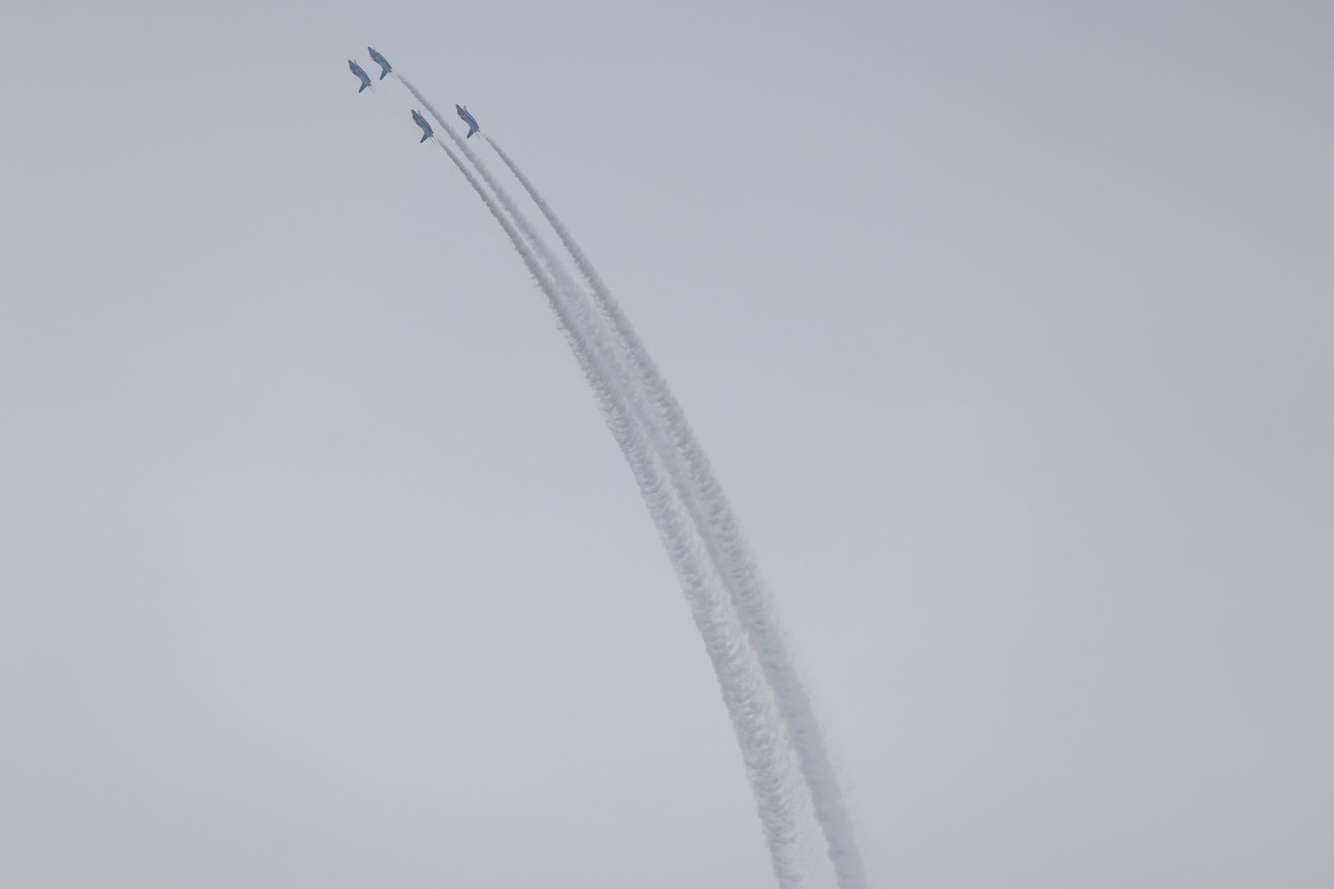 EOS R5 Mark II／RF100-500mm F4.5-7.1 L IS USM／451mm／マニュアル露出（1/2,500秒、F8）／ISO 640／WB:オート