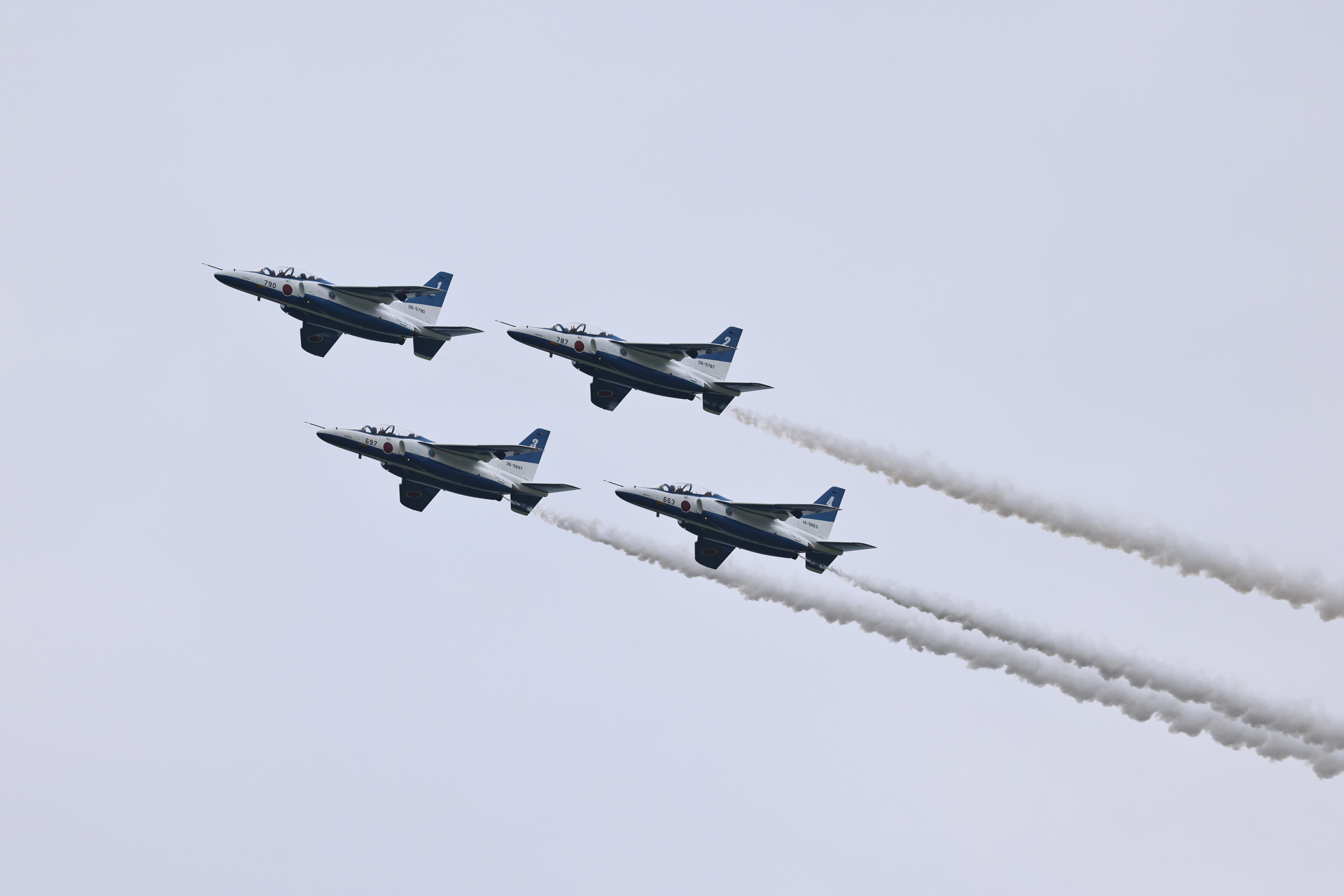 EOS R5 Mark II／RF100-500mm F4.5-7.1 L IS USM／500mm／マニュアル露出（1/2,500秒、F8）／ISO 640／WB:オート