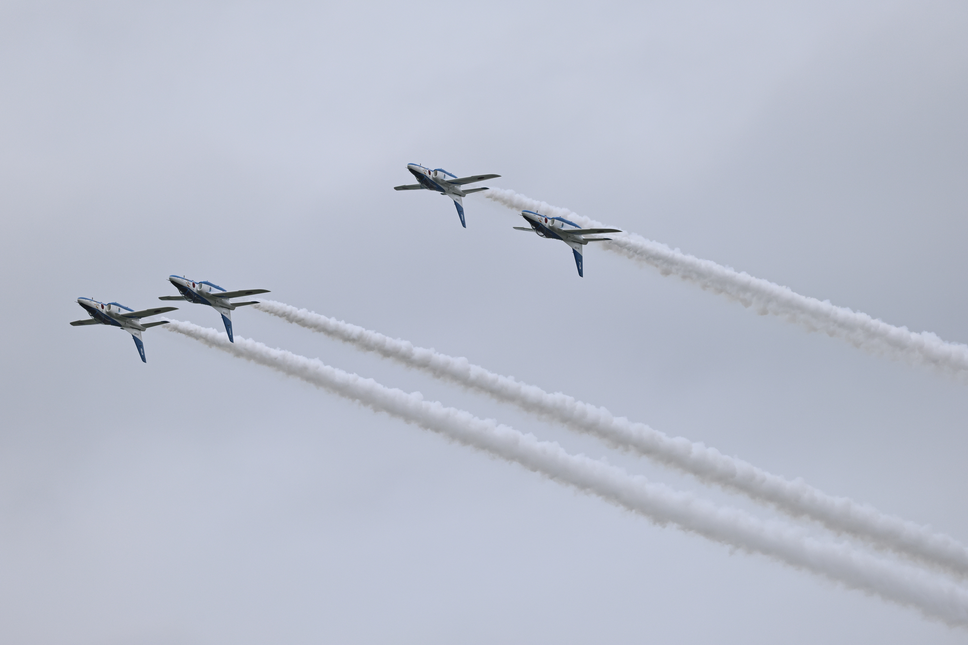 EOS R5 Mark II／RF100-500mm F4.5-7.1 L IS USM／400mm／マニュアル露出（1/2,500秒、F7.1）／ISO 640／WB:オート