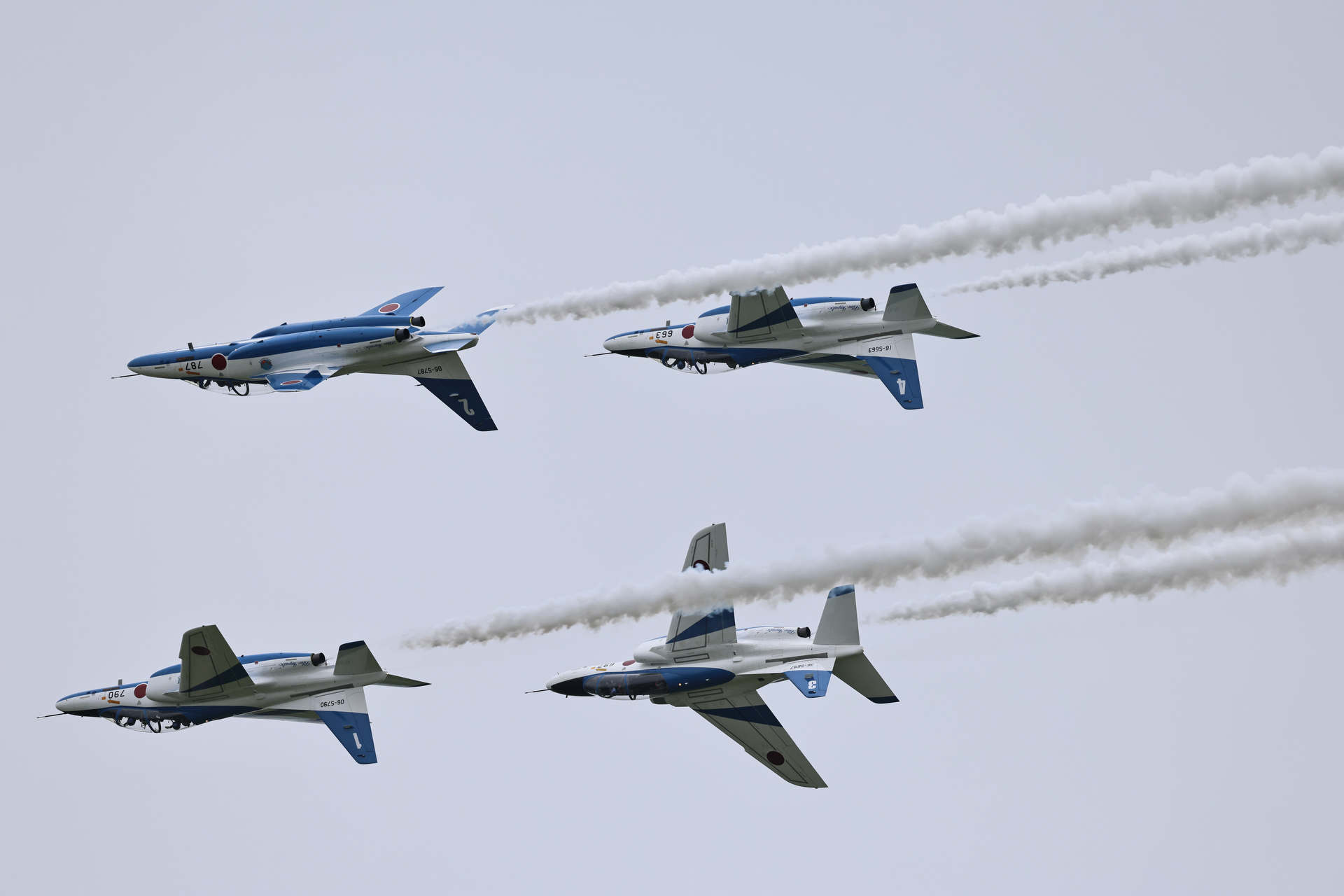 EOS R5 Mark II／RF100-500mm F4.5-7.1 L IS USM／400mm／マニュアル露出（1/2,500秒、F7.1）／ISO 640／WB:オート