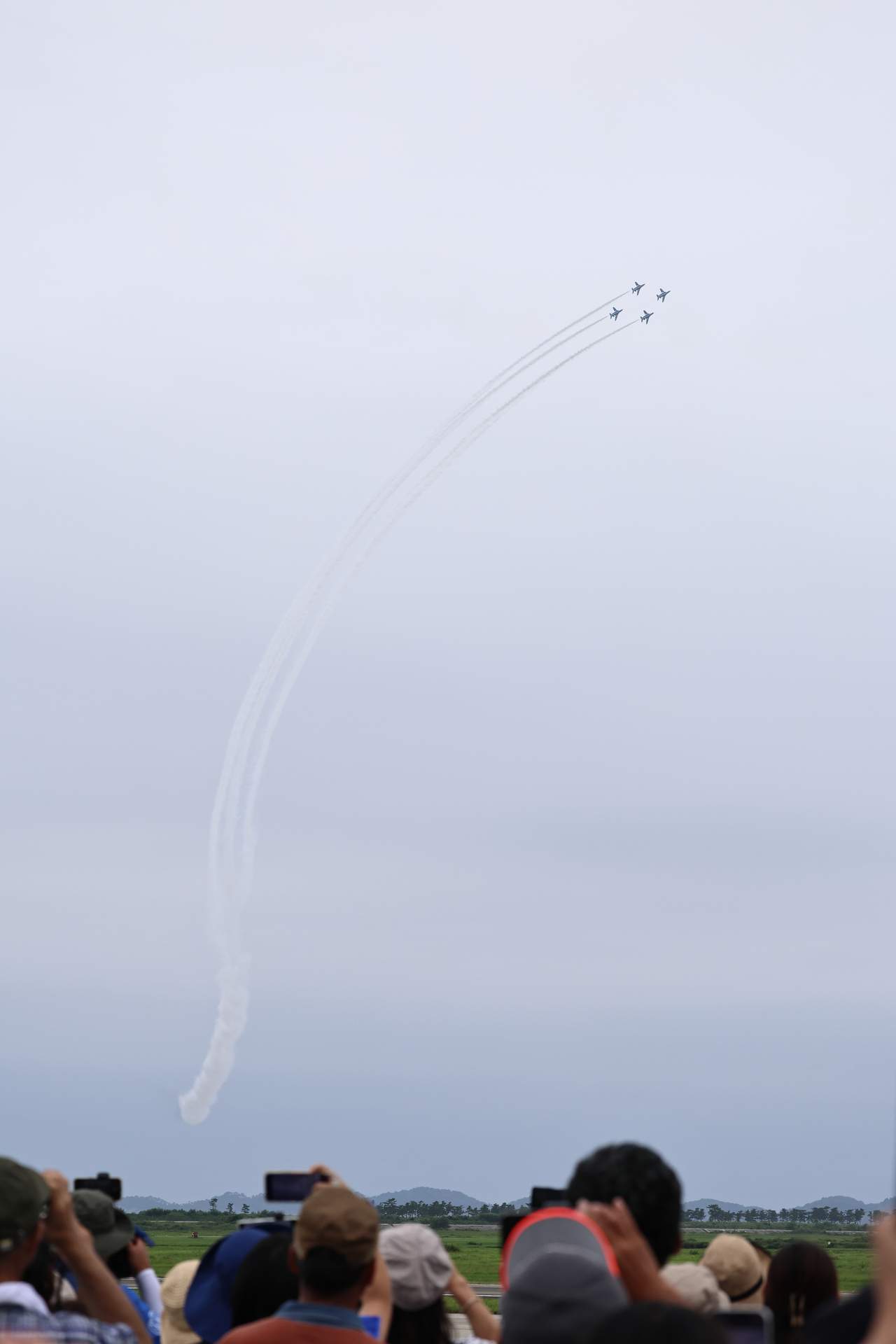 EOS R5 Mark II／RF100-500mm F4.5-7.1 L IS USM／118mm／マニュアル露出（1/2,500秒、F7.1）／ISO 640／WB:オート