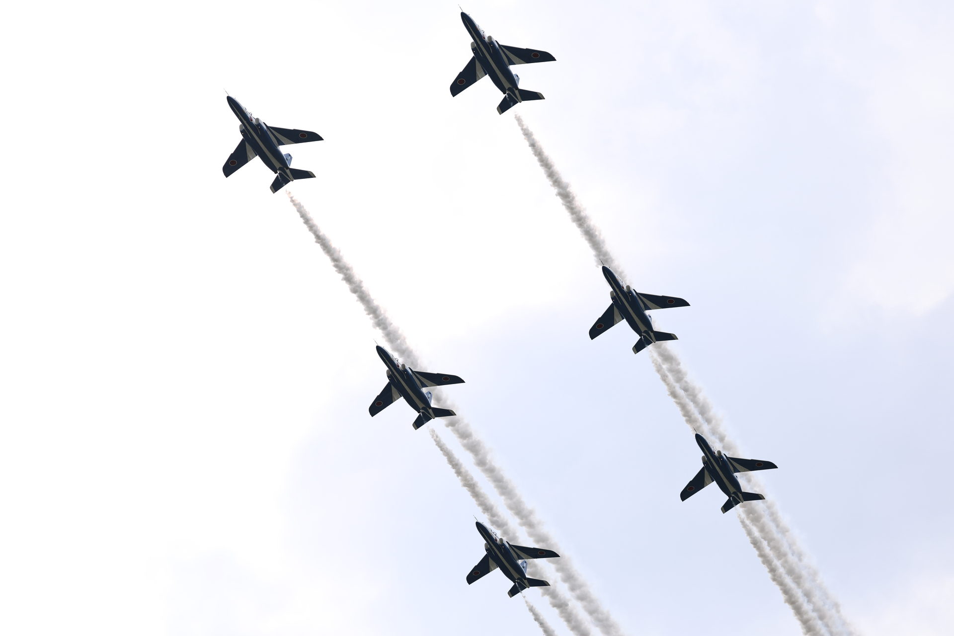 EOS R5 Mark II／RF100-500mm F4.5-7.1 L IS USM／100mm／マニュアル露出（1/2,500秒、F7.1）／ISO 500／WB:オート