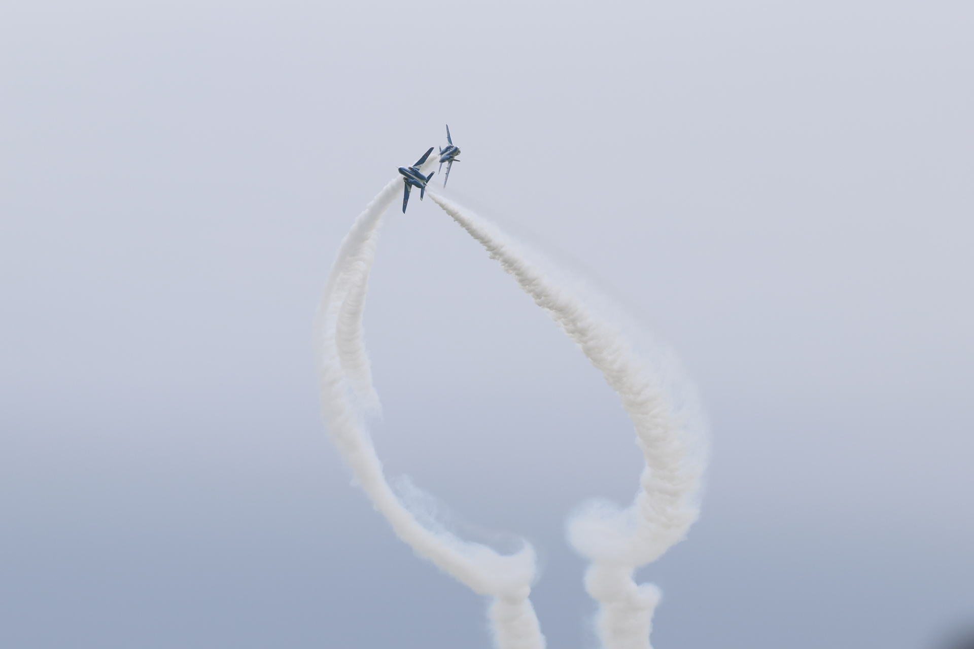 EOS R5 Mark II／RF100-500mm F4.5-7.1 L IS USM／356mm相当（1.6倍クロップ）／マニュアル露出（1/2,500秒、F7.1）／ISO 640／WB:オート