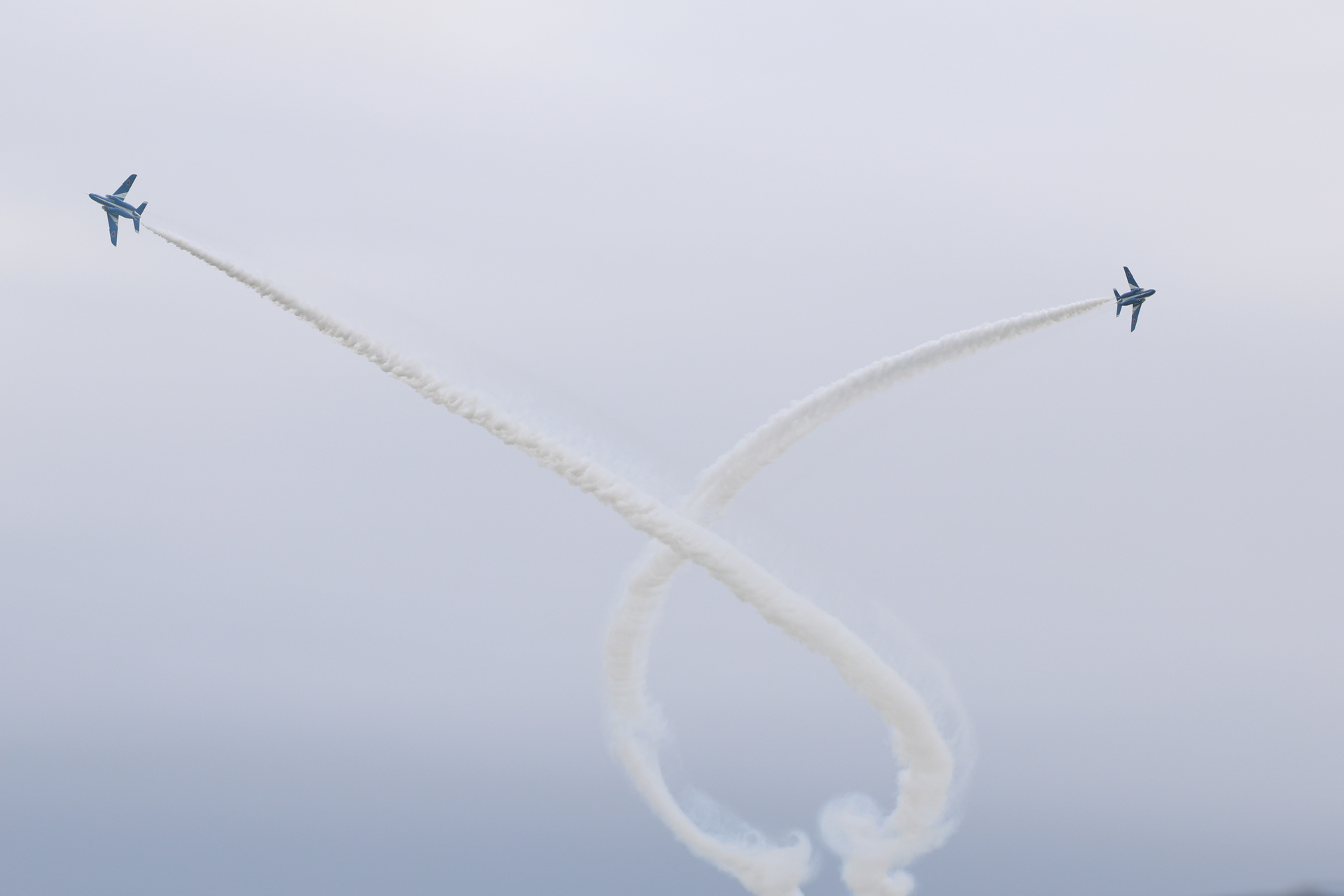 EOS R5 Mark II／RF100-500mm F4.5-7.1 L IS USM／188mm相当（1.6倍クロップ）／マニュアル露出（1/2,500秒、F7.1）／ISO 640／WB:オート