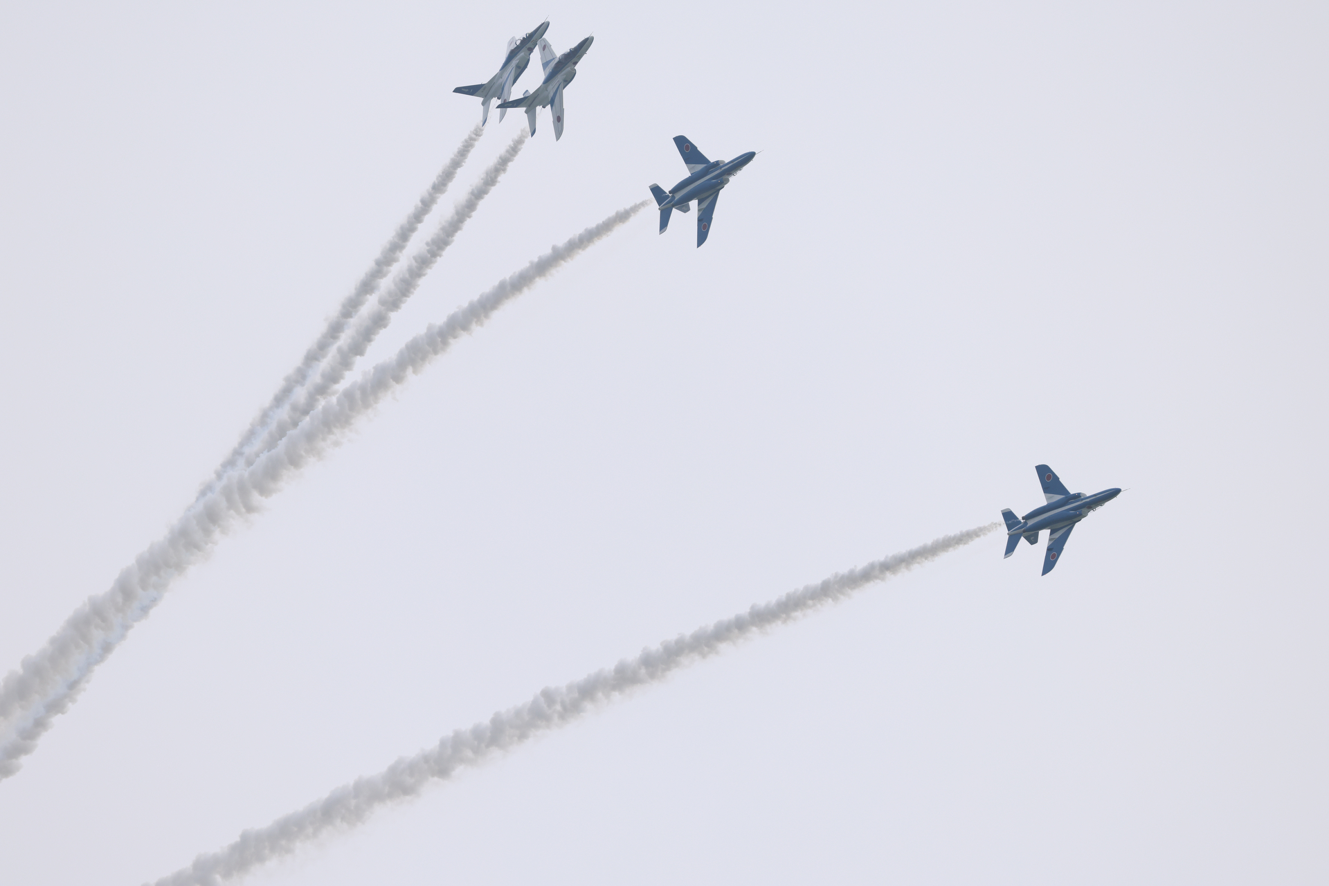 EOS R5 Mark II／RF100-500mm F4.5-7.1 L IS USM／428mm／マニュアル露出（1/2,500秒、F7.1）／ISO 500／WB:オート