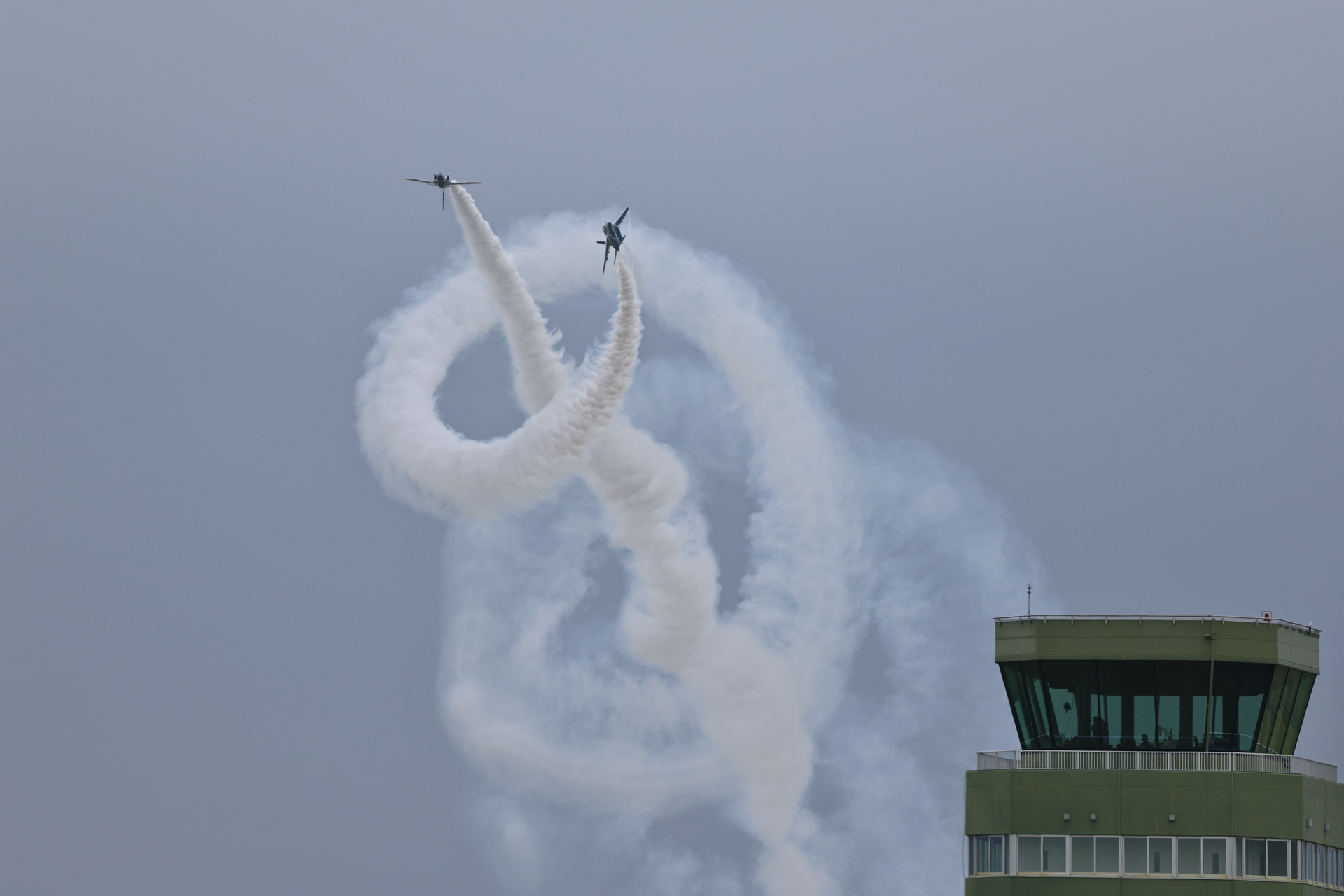 EOS R5 Mark II／RF100-500mm F4.5-7.1 L IS USM／500mm／マニュアル露出（1/2,500秒、F7.1）／ISO 500／WB:オート