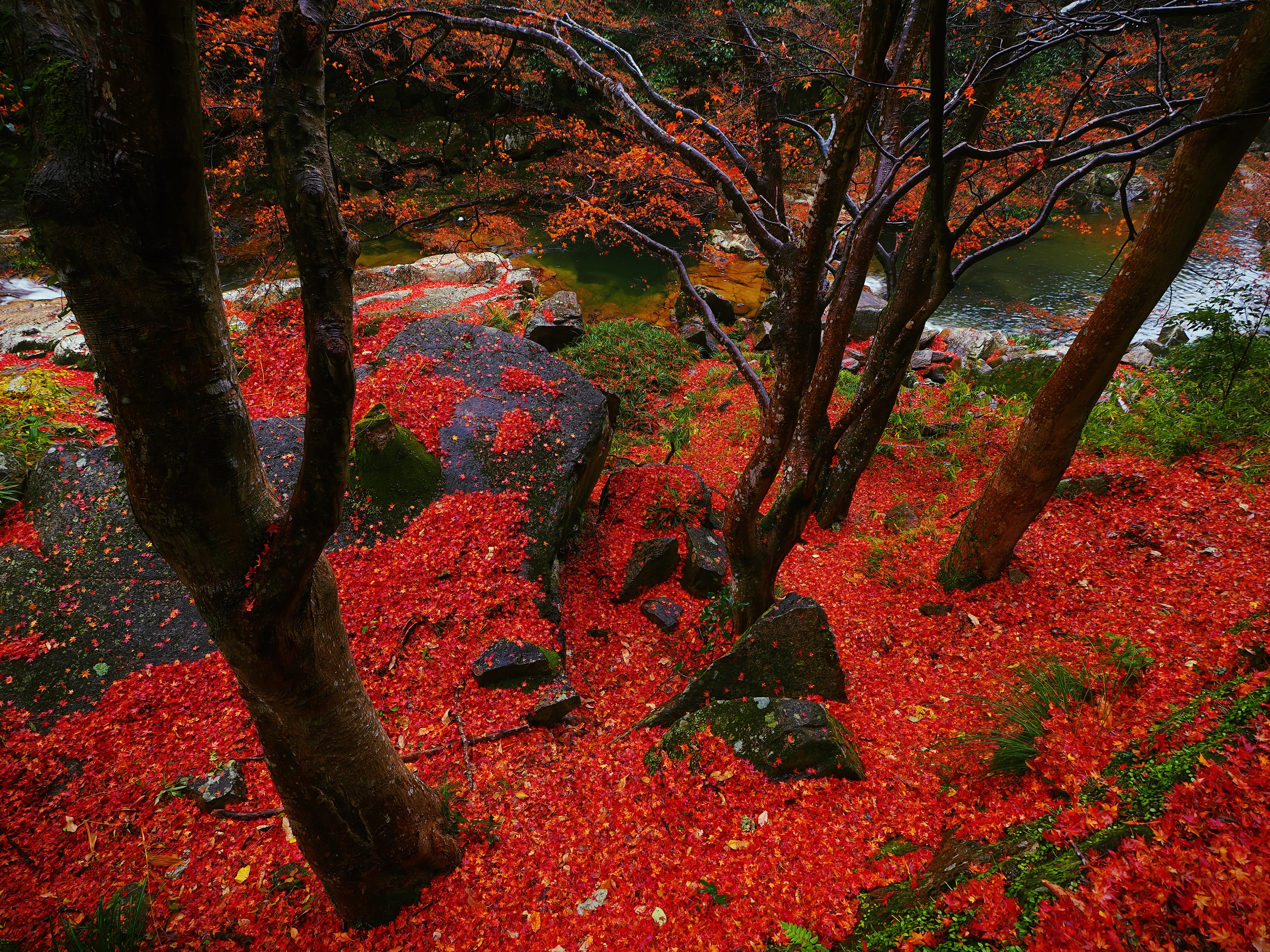 OM SYSTEM OM-5／M.ZUIKO DIGITAL ED 9-18mm F4.0-5.6Ⅱ／18mm（35mm判換算）／（1/6秒・F5.6）／ISO 200