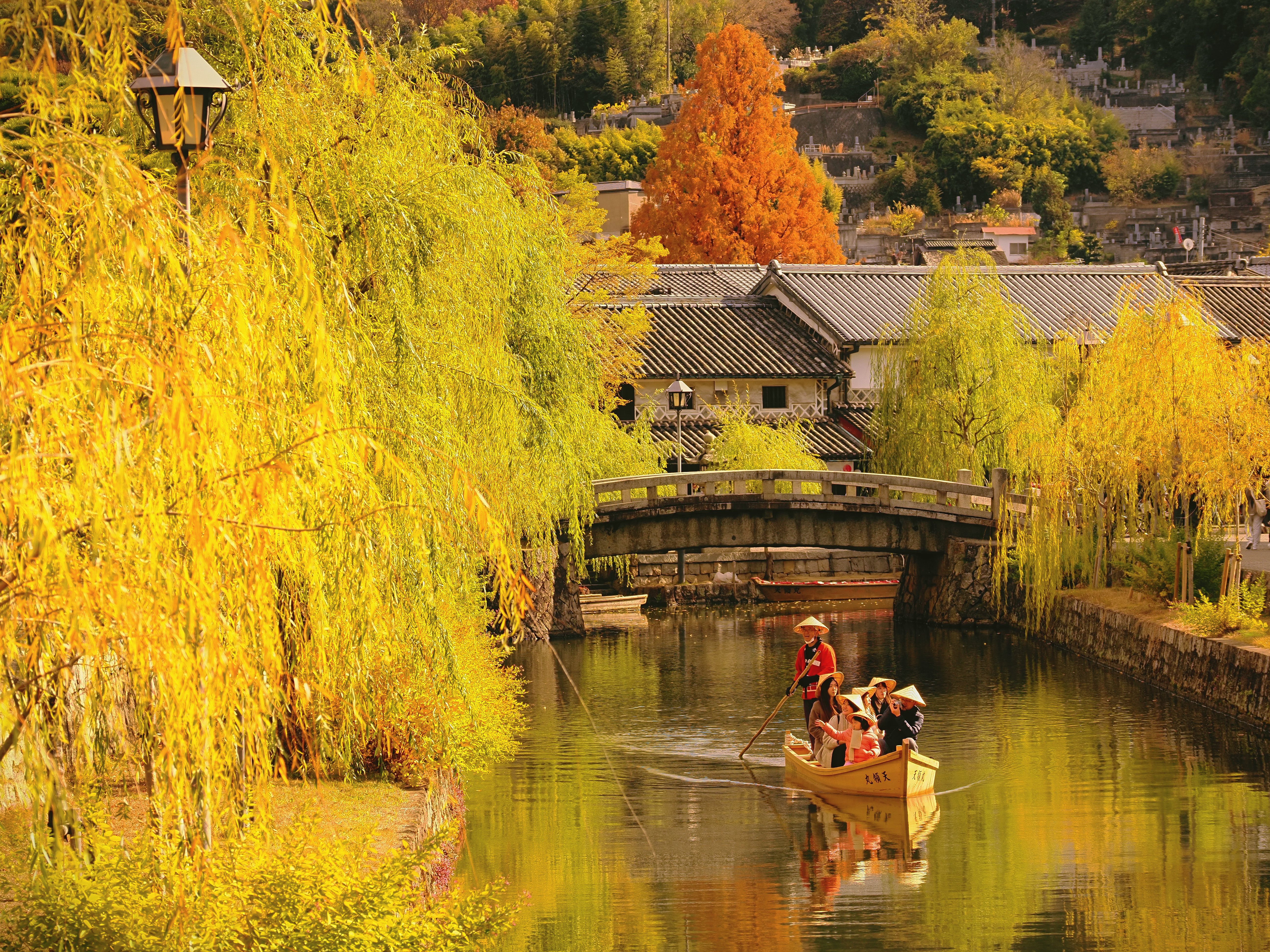 OM SYSTEM OM-1／M.ZUIKO DIGITAL ED 12-100mm F4.0 IS PRO／132mm（35mm判換算）／（1/500秒・F5.6）／ISO 200