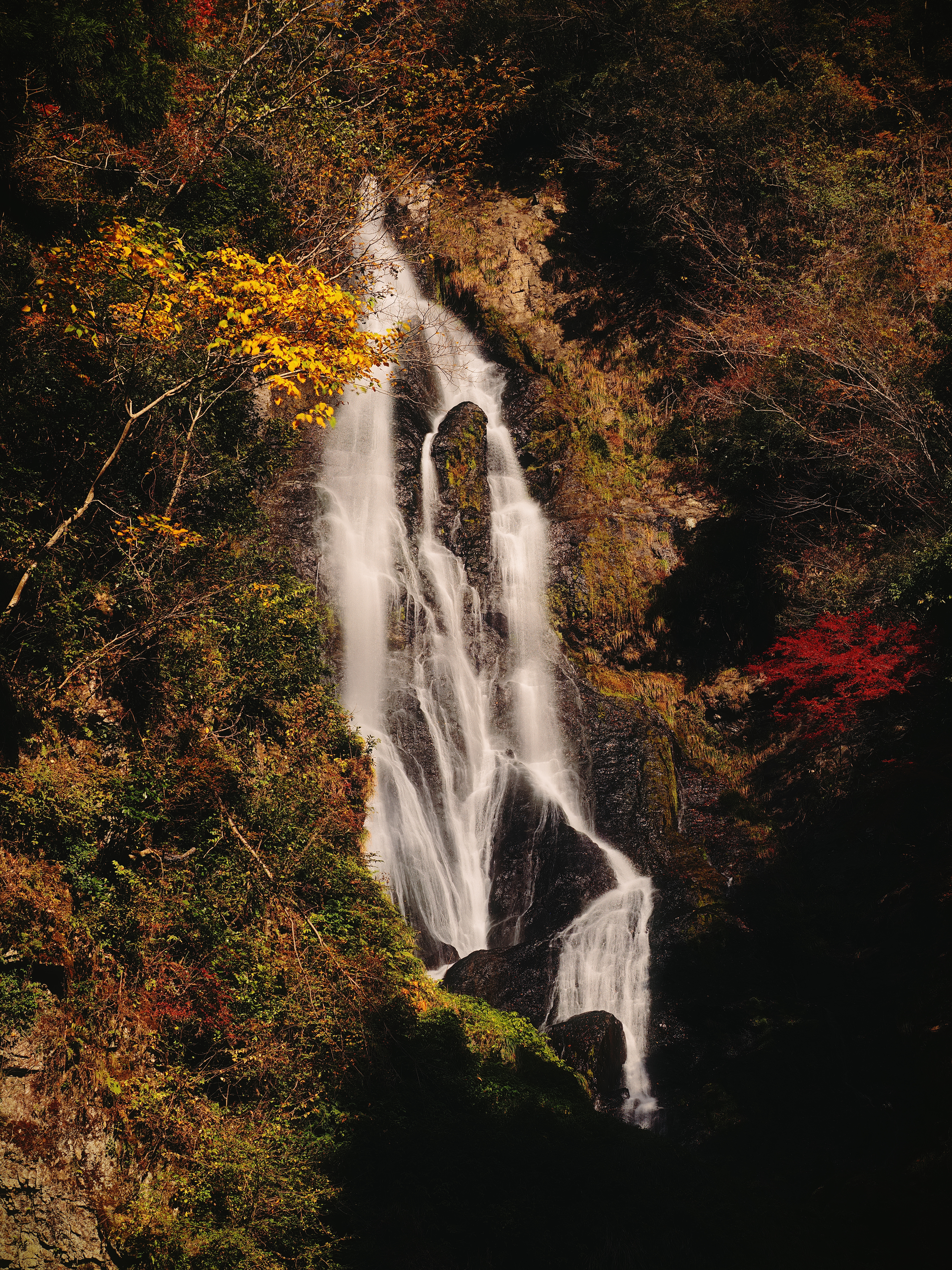 OM SYSTEM OM-1／M.ZUIKO DIGITAL ED 12-100mm F4.0 IS PRO／68mm（35mm判換算）／（1/640秒・F5.6）／ISO 200<br><span class="fnt-85">※手持ちハイレゾで撮影</span>