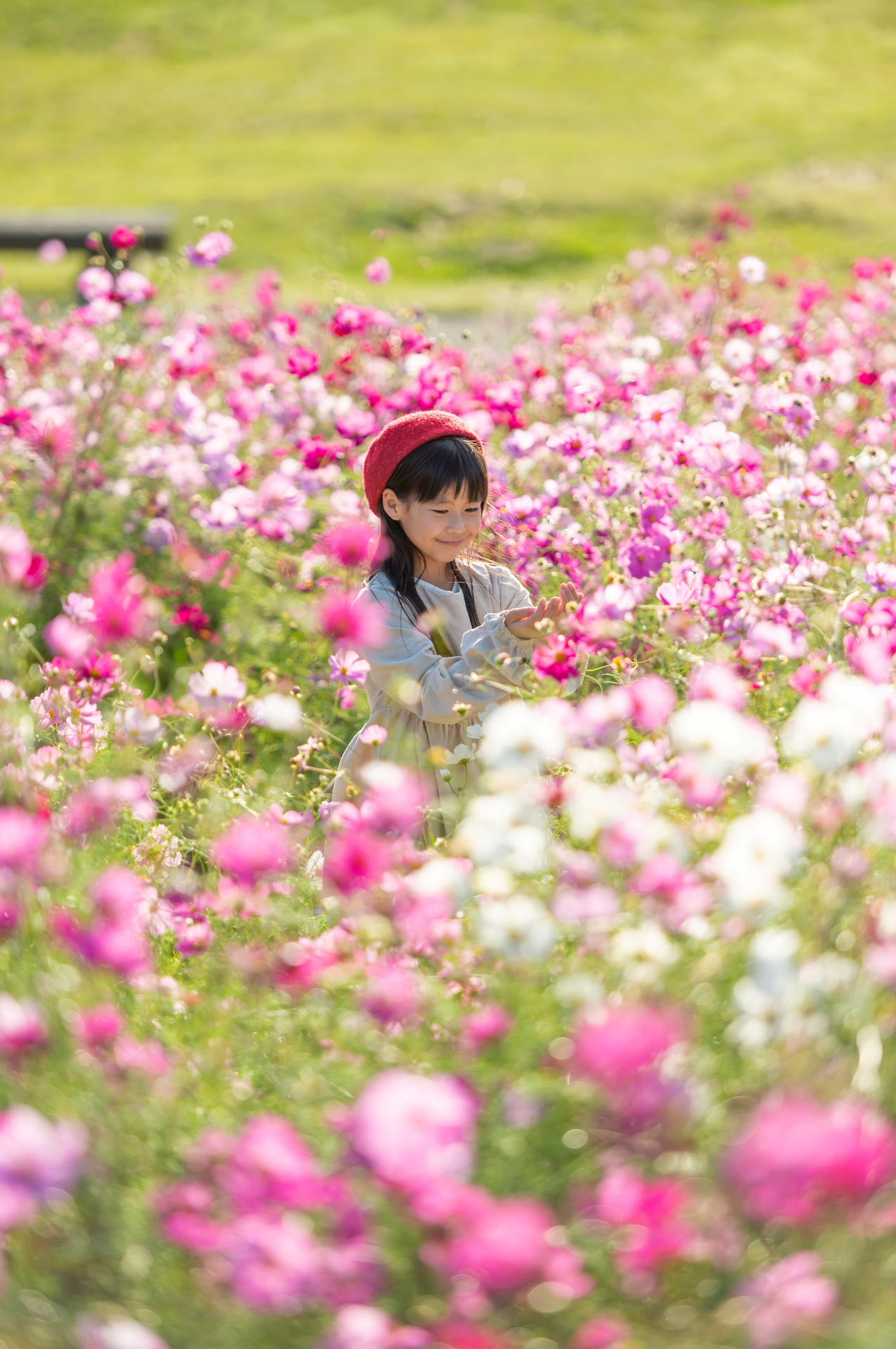 花竜の道では、花に埋もれたかのようなポートレート撮影が可能だという