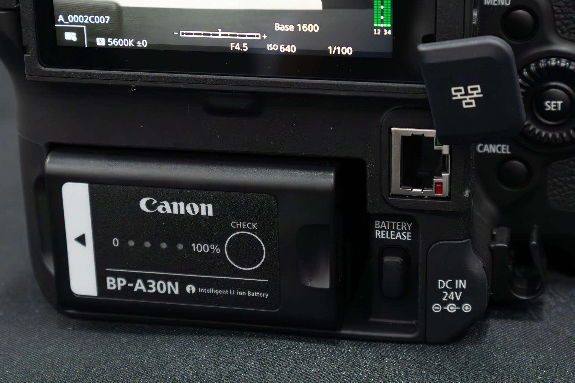 Ethernet端子も新設