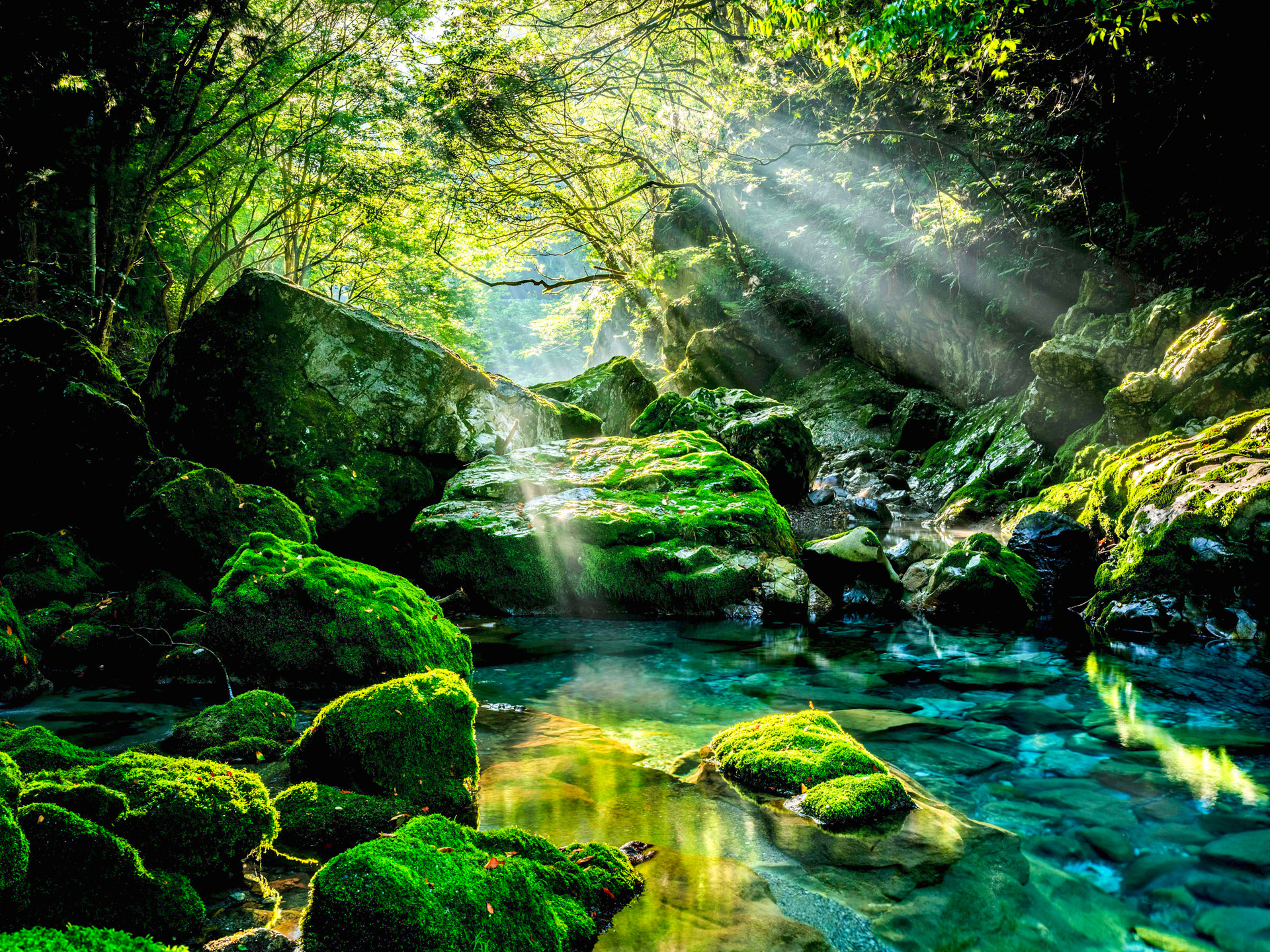 水の中でも流されない頑強なLS-284CTKは、渓流での撮影で非常に便利だ。自由なアングルに即座に固定できるLH-36TKと組み合わせて、木々の隙間から差し込む光芒を切り取った<br><span class="fnt-85">FUJIFILM GFX50S II／GF35-70mmF4.5-5.6 WR／42mm（33mm相当）／絞り優先AE（F16、1.2秒、－1.0EV）／ISO 250／WB：晴れ</span>