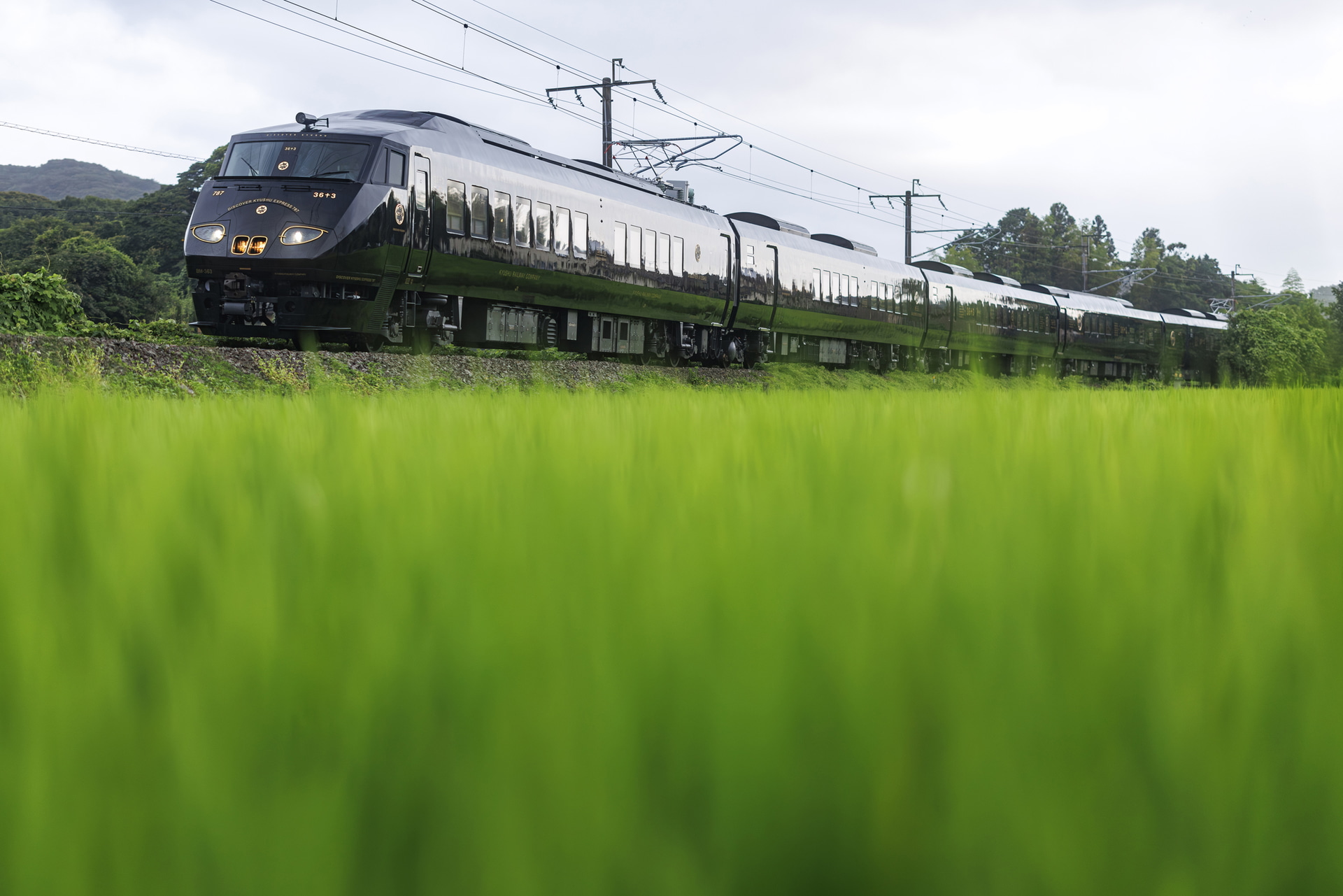 林を抜けて飛び出してくる特別列車「36ぷらす3」を被写体検出の「乗り物優先」に設定して撮影。車両の顔が見えたと同時にAFが認識し、狙ったポイントで30コマ/秒の高速連写を開始した。車両の先頭部分に映り込みがないわずかなポイントを狙い通りに収められた<br><span class="fnt-85">キヤノン EOS R5 Mark II／RF50mm F1.2 L USM／50mm／マニュアル露出（F1.6、1/1,250秒）／ISO 1250／WB：オート</span>