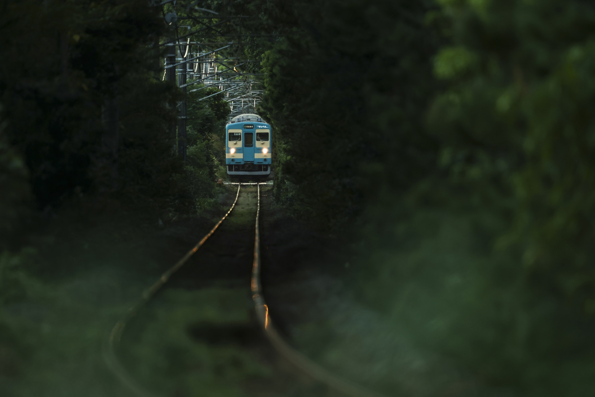 <span class="fnt-85">キヤノン EOS R5 Mark II／RF100-300mm F2.8 L IS USM+EXTENDER RF2x／600mm／マニュアル露出（F5.6、1/800秒）／ISO 1250／WB：オート／カメラ内アップスケーリング</span>