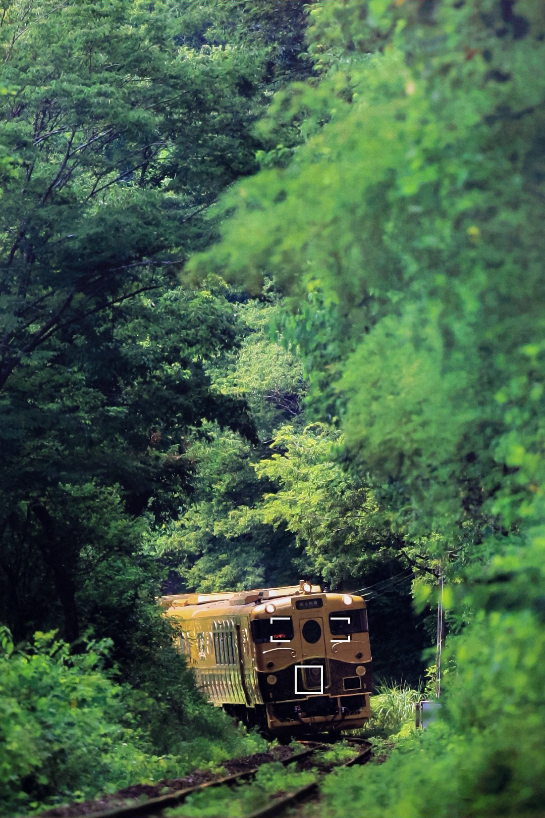 ③スポット1点AFで線路付近に合わせておくと列車を検出しやすい