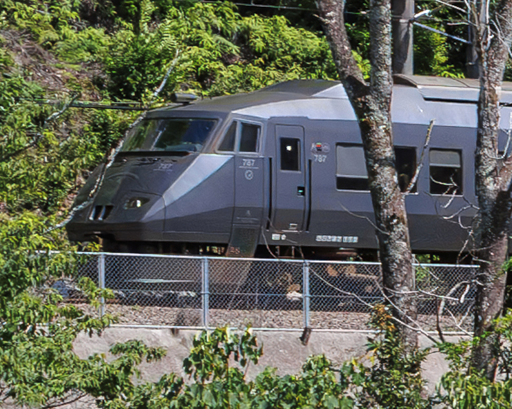 1コマ後でさえ枝と重なってしまう