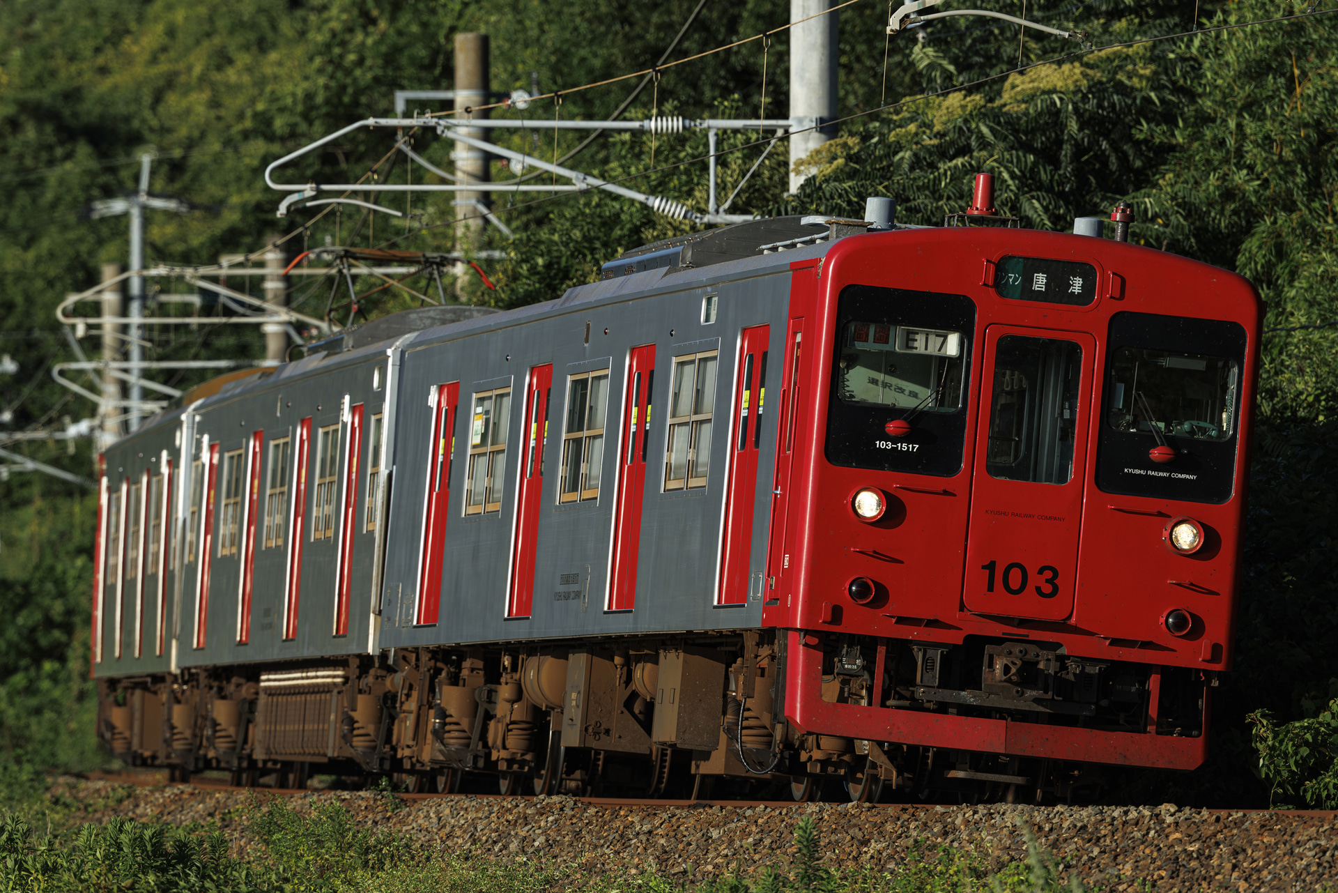 被写体検出「乗り物優先」で撮影。唯一残存する103系の1500番台が奥のカーブを抜けて顔を出した瞬間に車両を検出し、フレームアウトするまでAFが追尾し続けた<br><span class="fnt-85">キヤノン EOS R5 Mark II／RF100-300mm F2.8 L IS USM／280mm／マニュアル露出（F3.5、1/2,000秒）／ISO 200／WB：オート</span>