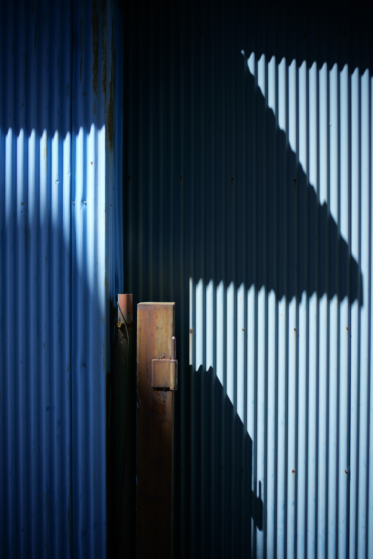 LUMIX S9／NOKTON Vintage Line 28mm F1.5 Aspherical／1/1,250秒／F2.8／−0.3EV／ISO 100／WB: オート／フォトスタイル: スタンダード