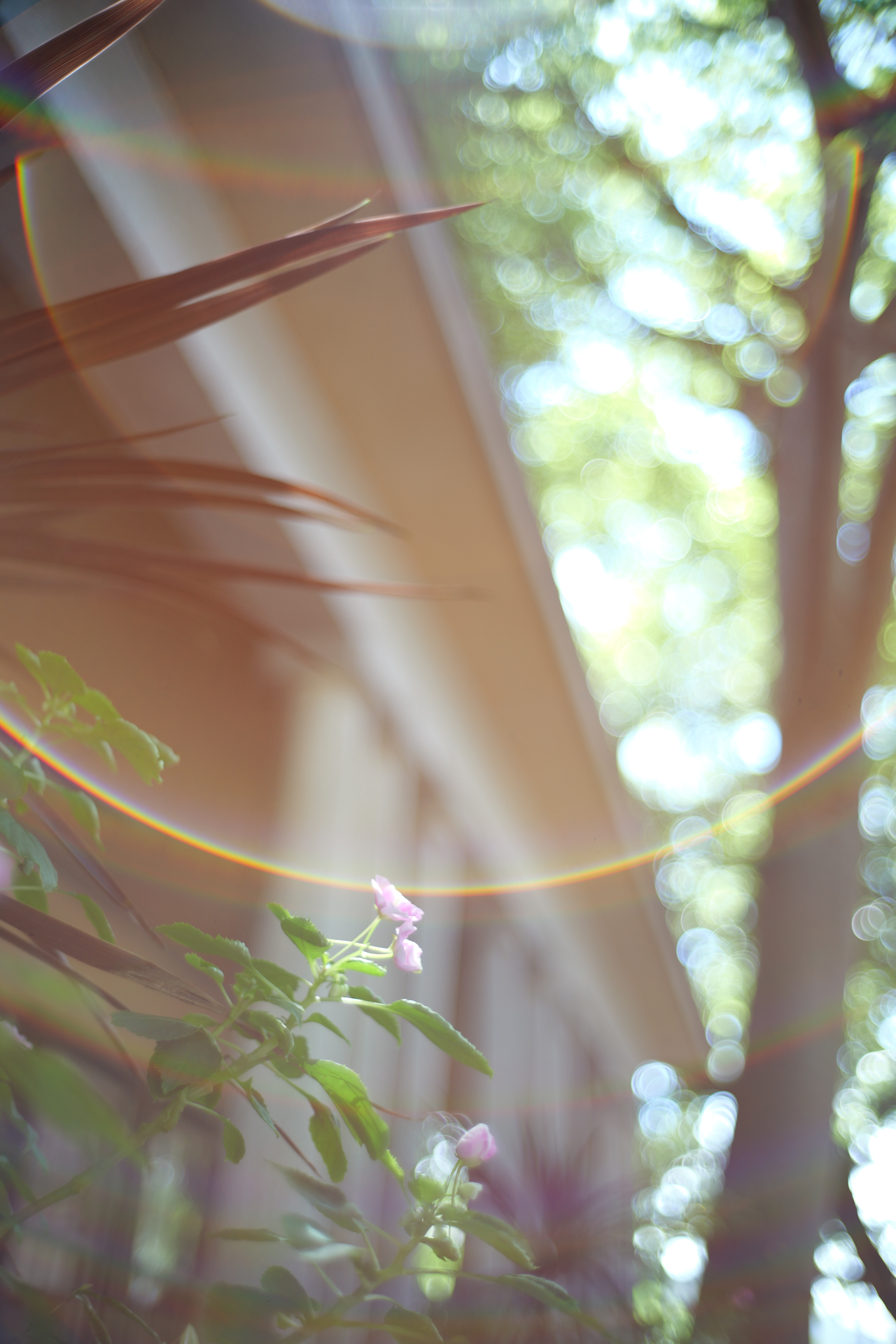 LUMIX S9／NOKTON classic 35mm F1.4 II／1/125秒／F1.4／＋1.3EV／ISO 125／WB: オート／フォトスタイル: スタンダード