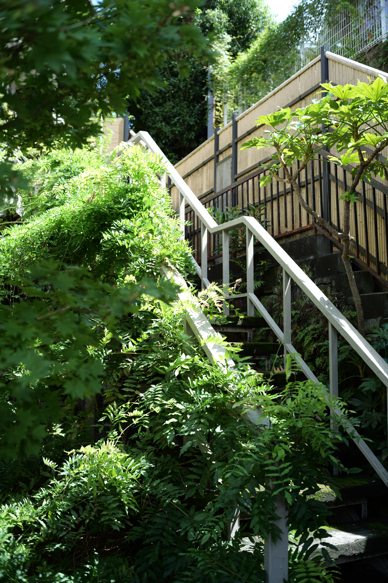 LUMIX S9／NOKTON classic 35mm F1.4 II／1/200秒／F4.0／＋0.7EV／ISO 100／WB: オート／フォトスタイル: スタンダード