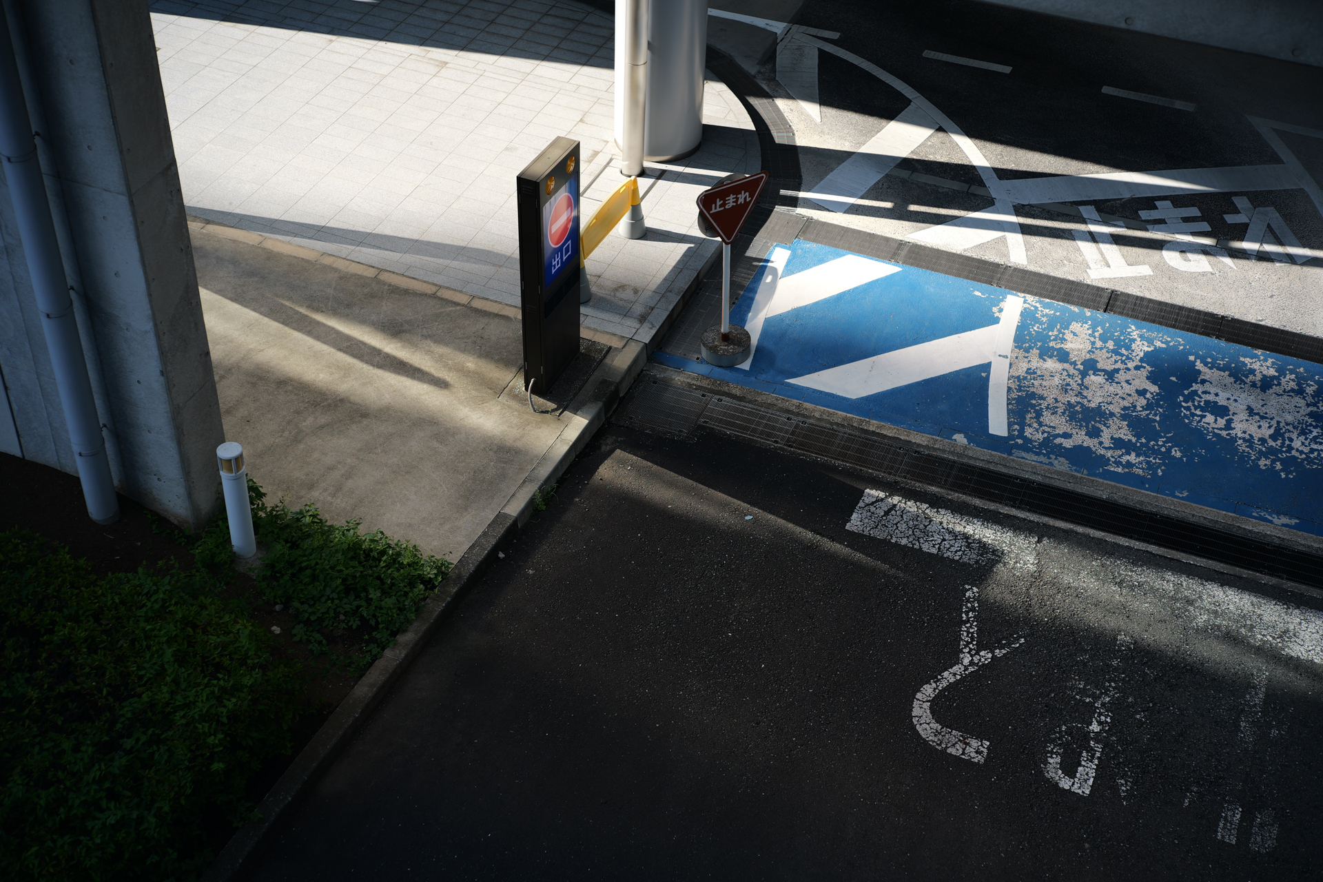 LUMIX S9／COLOR-SKOPAR 50mm F2.2／1/250秒／／F4.0／−0.3EV／ISO 100／WB: オート／フォトスタイル: スタンダード＋Sample LUT3