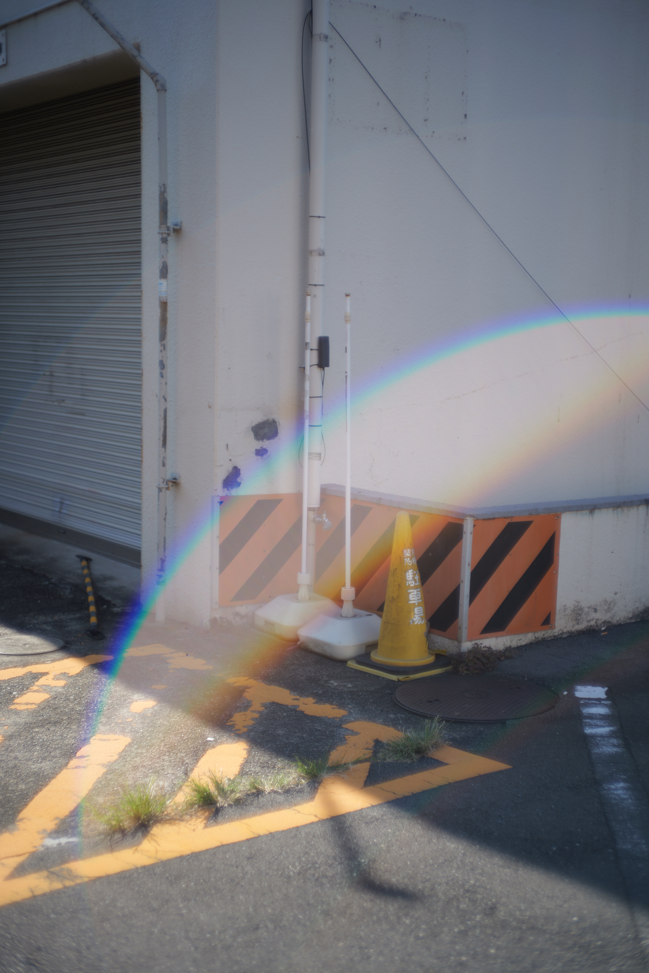 LUMIX S9／HELIAR classic 50mm F1.5／1/1,600秒／F1.5／＋0.3EV／ISO 100／WB: オート／フォトスタイル: スタンダード