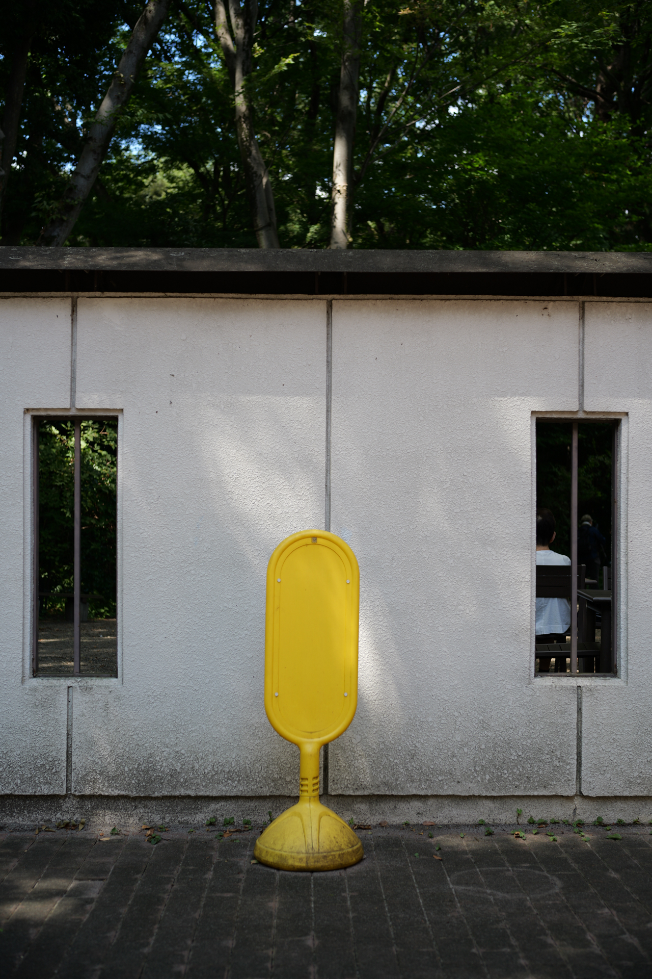 LUMIX S9／NOKTON 50mm F1 Aspherical／1/200秒／F2.0／−0.3EV／ISO 100／WB: オート／フォトスタイル: スタンダード