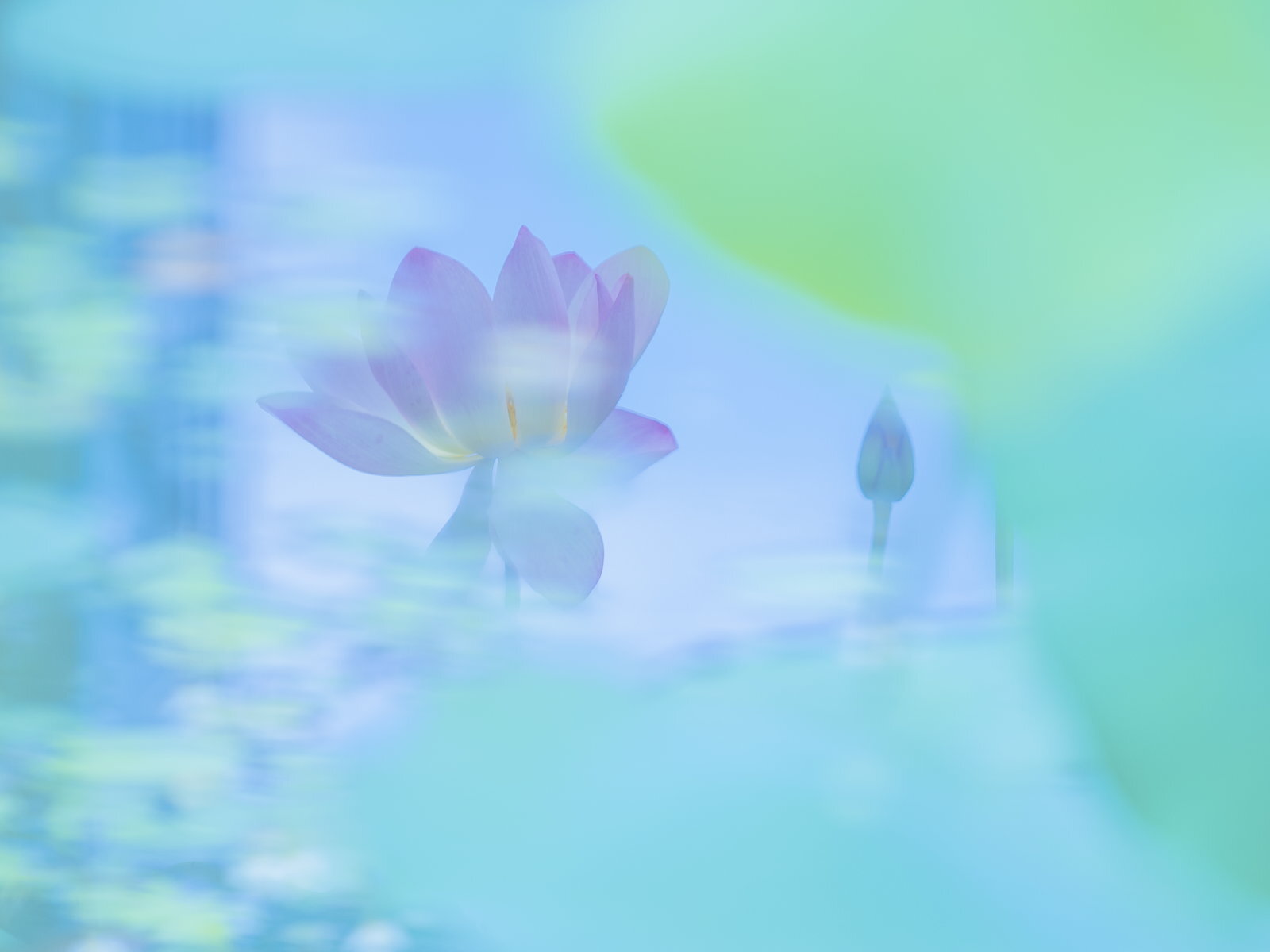 撮影 クキモトノリコ