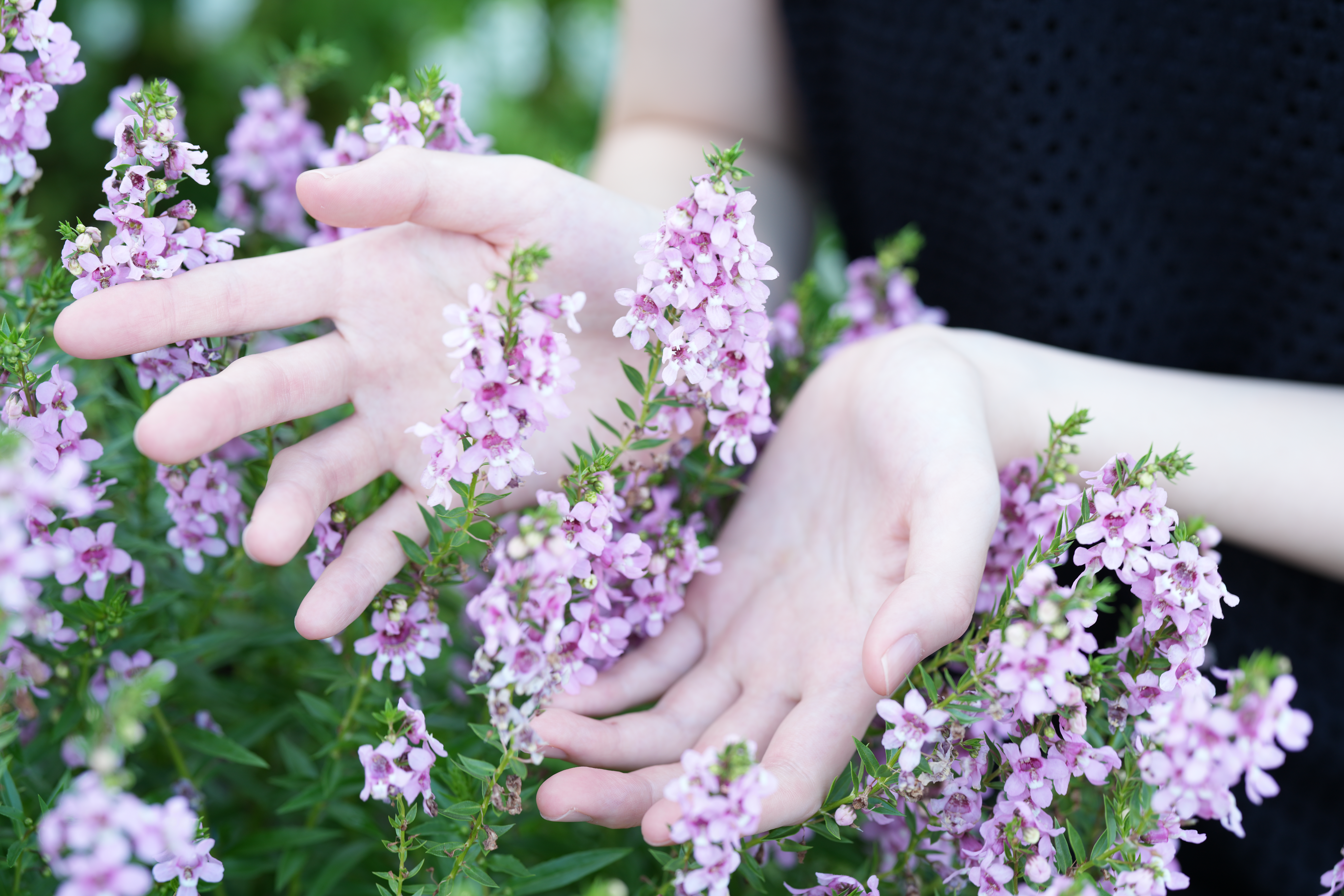 α7R V／FE 85mm F1.4 GM II／絞り優先AE（1/60秒、F8.0、＋1.3EV）／ISO 100