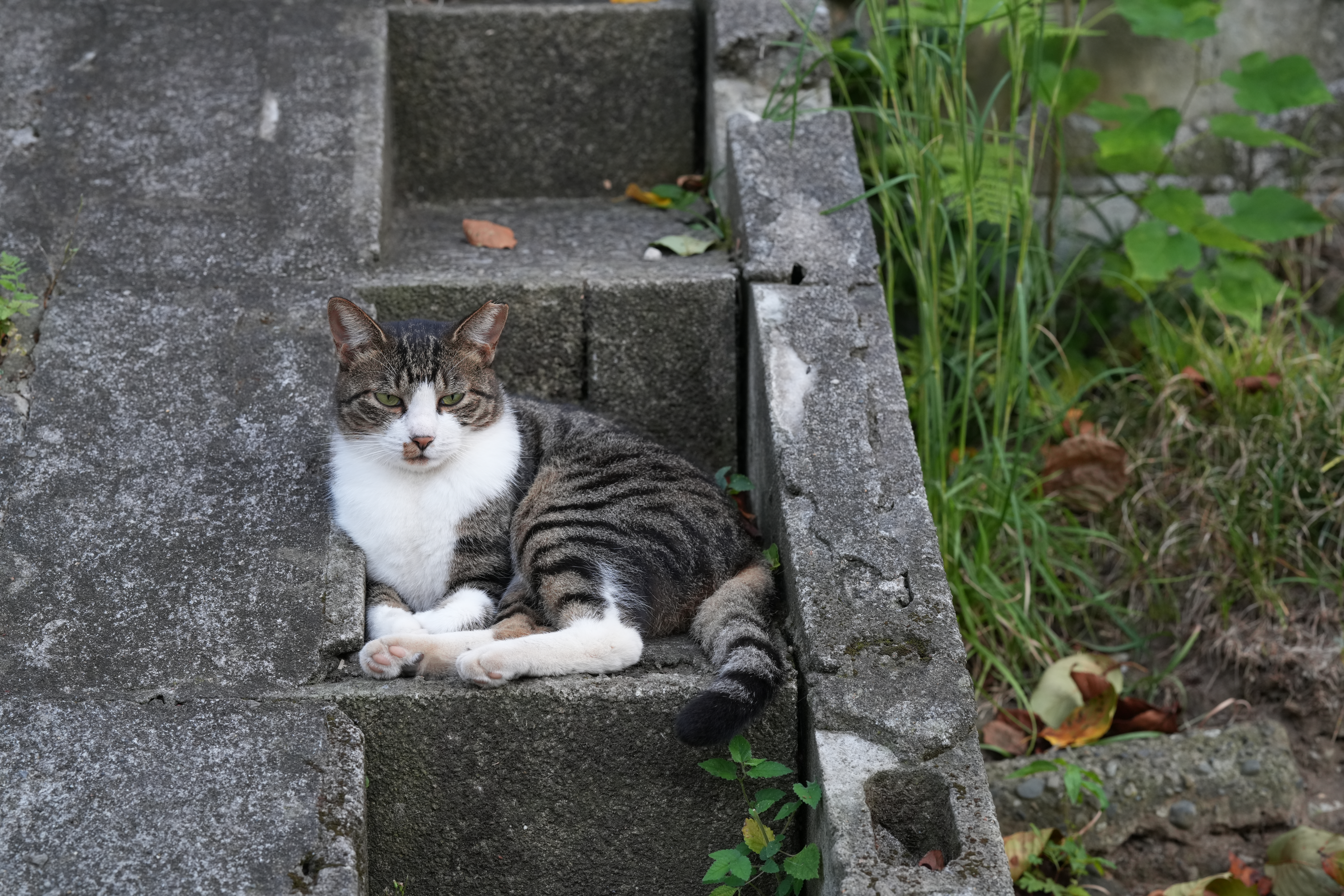 α7R V／FE 85mm F1.4 GM II／絞り優先AE（1/100秒、F5.6、−0.3EV）／ISO 800