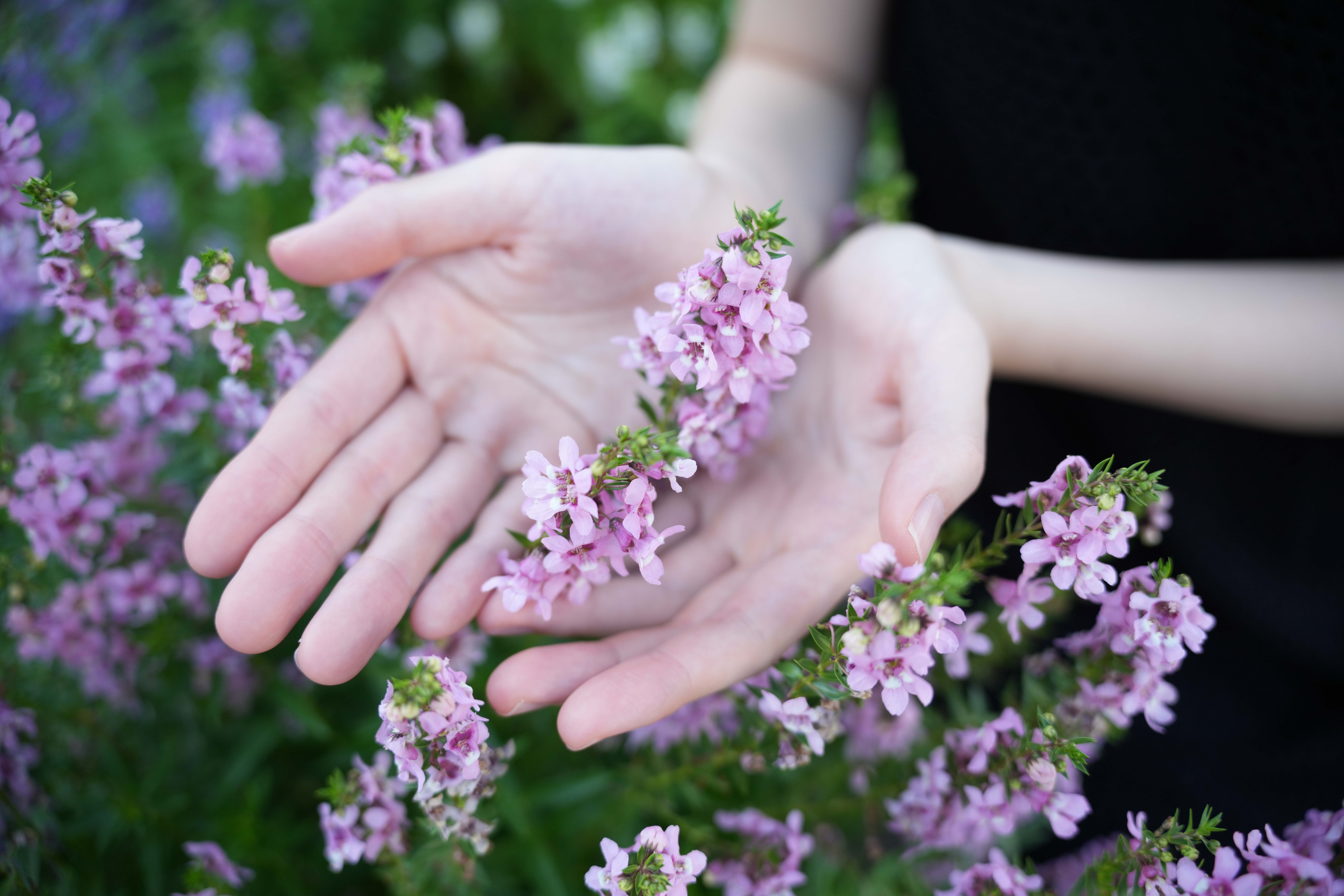 ソニー α7R V／SIGMA 28-105mm F2.8 DG DN｜Art／28mm／絞り優先AE（1/640秒、F2.8、＋1.0EV）／ISO 400