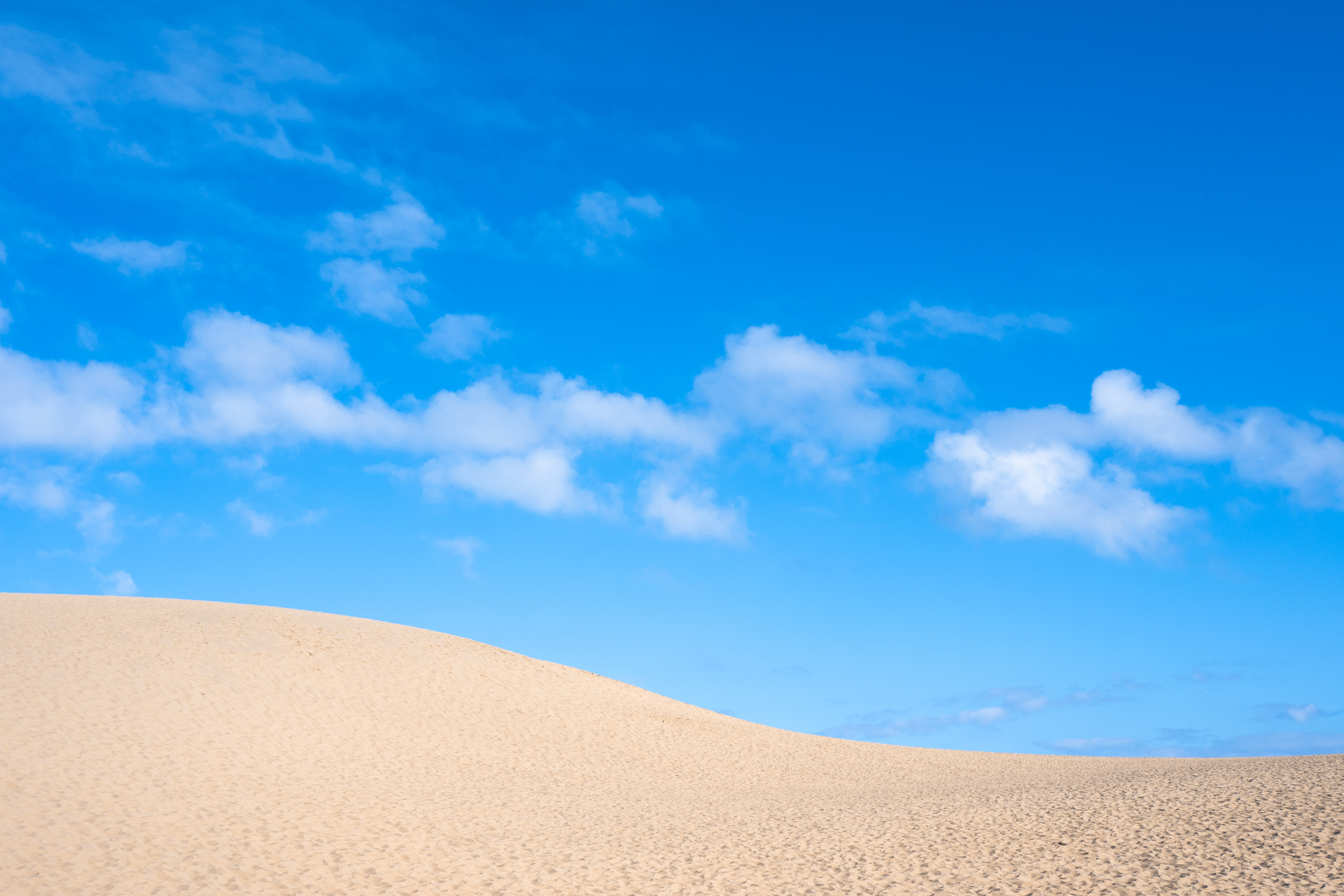 ニコン Z6III／NIKKOR Z 35mm f/1.4／絞り優先AE（F11・1/250秒・±0EV）／ISO 100