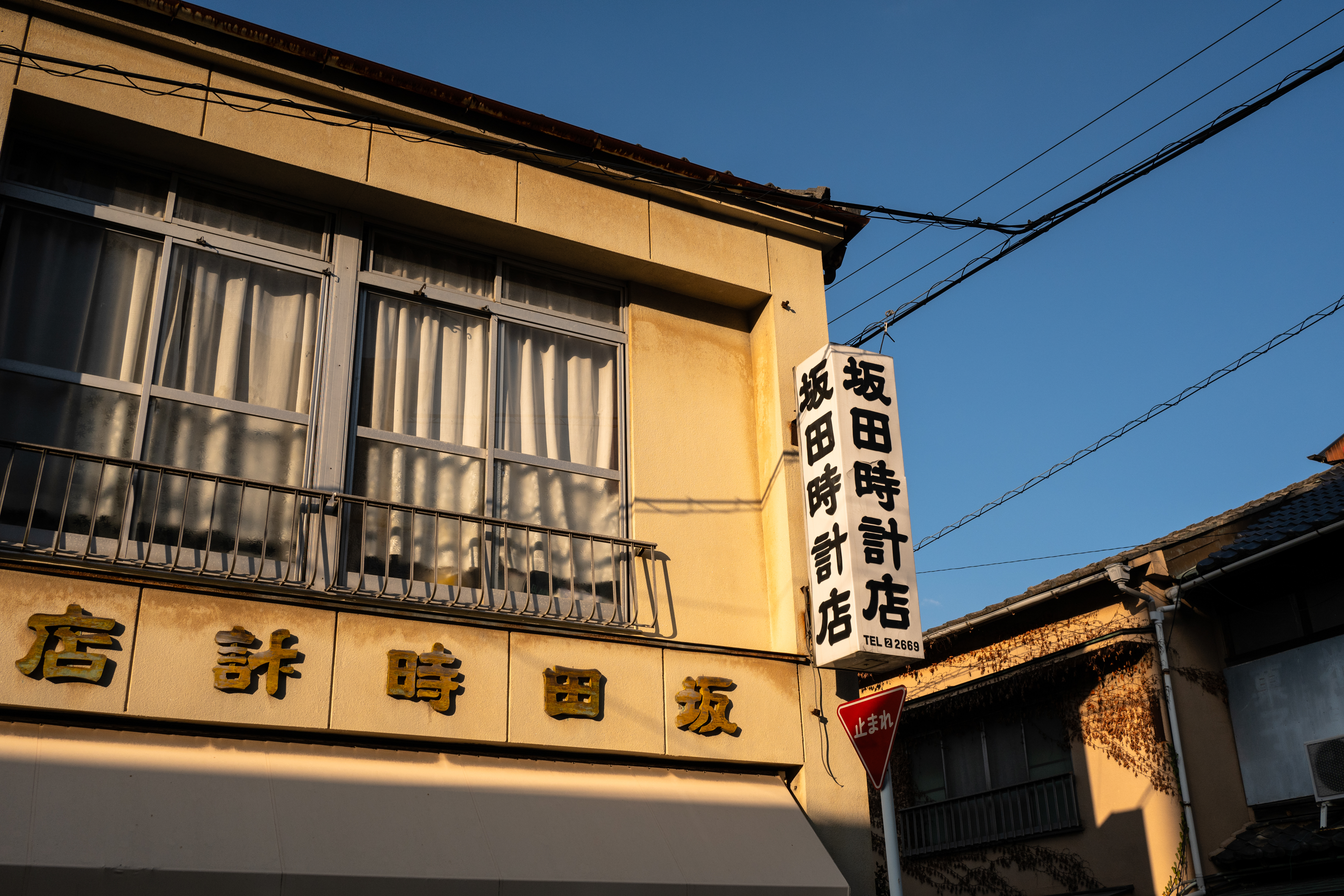 ニコン Z6III／NIKKOR Z 35mm f/1.4／絞り優先AE（F8・1/1,500秒・±0EV）／ISO 100