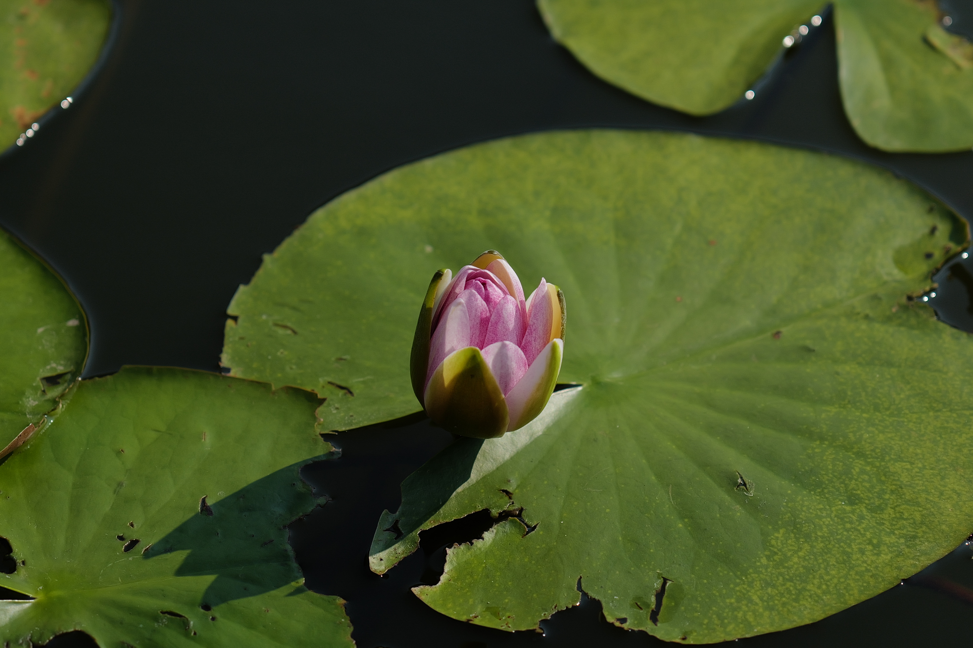 120mm相当（約770万画素）