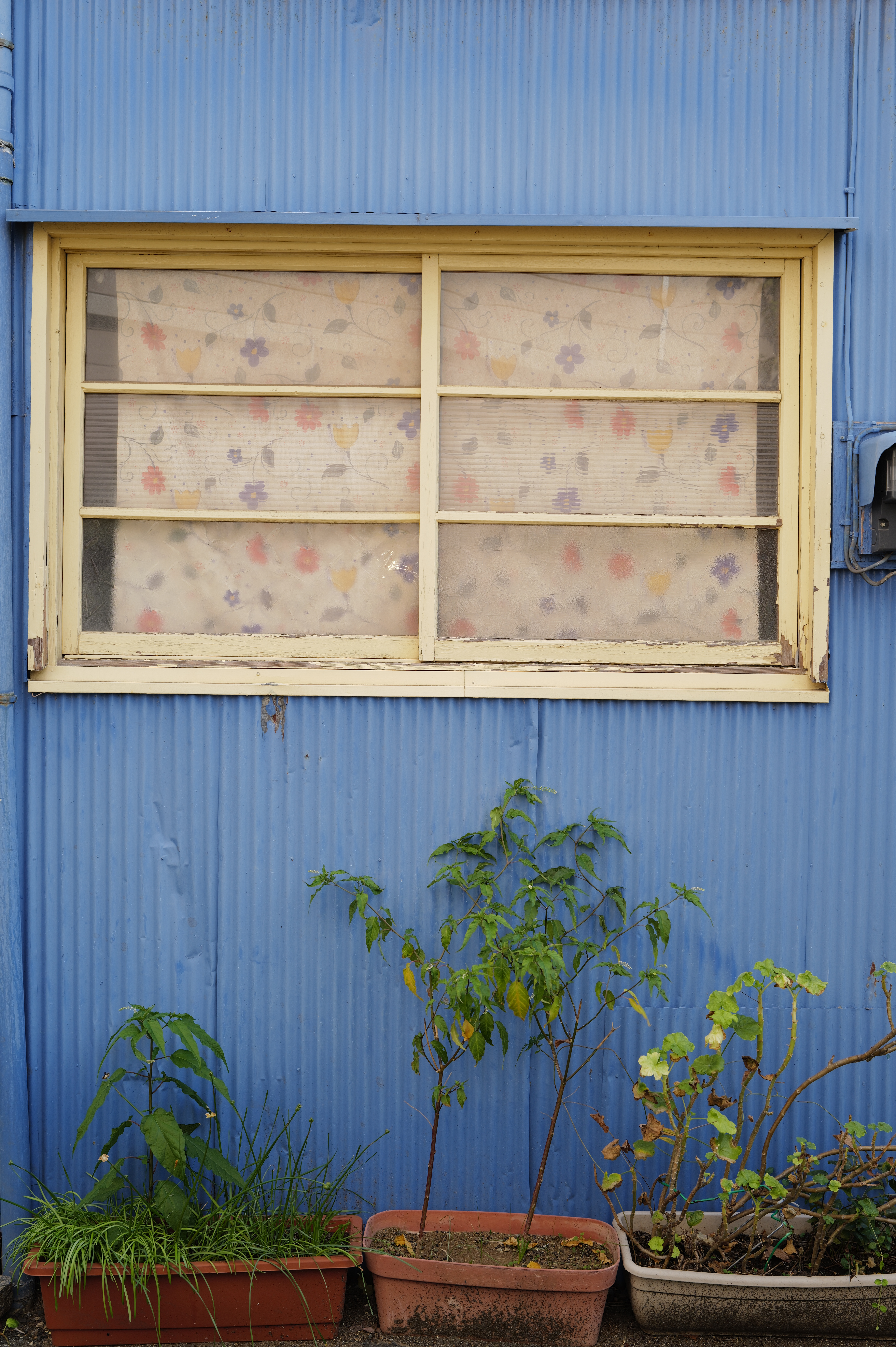 43mmは人間の視角に近く、目に付いた被写体をサクサクとスナップするのに最適な画角<br><span class="fnt-85">ライカQ3 43／ライカ アポ・ズミクロン f2/43mm ASPH.／絞り優先AE（F5.6・1/80秒・±0EV）／ISO 100</span>