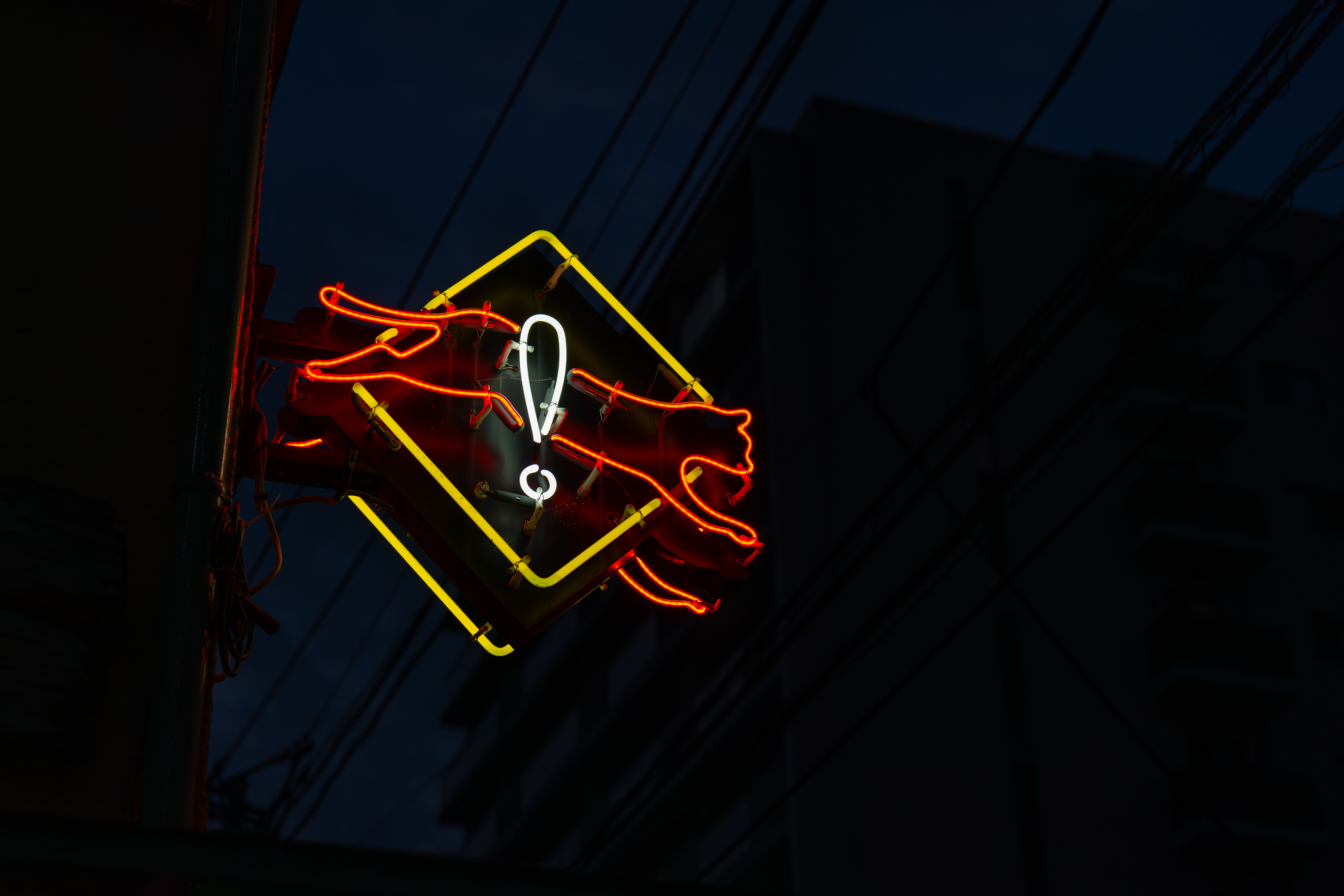 60mm相当で撮影。試用期間中、いろいろな光線状態で撮影したが、AFはほとんど迷わず、合焦も正確だった<br><span class="fnt-85">ライカQ3 43／ライカ アポ・ズミクロン f2/43mm ASPH.／絞り優先AE（F2.0・1/2,000秒・－1.3EV）／ISO 1600</span>