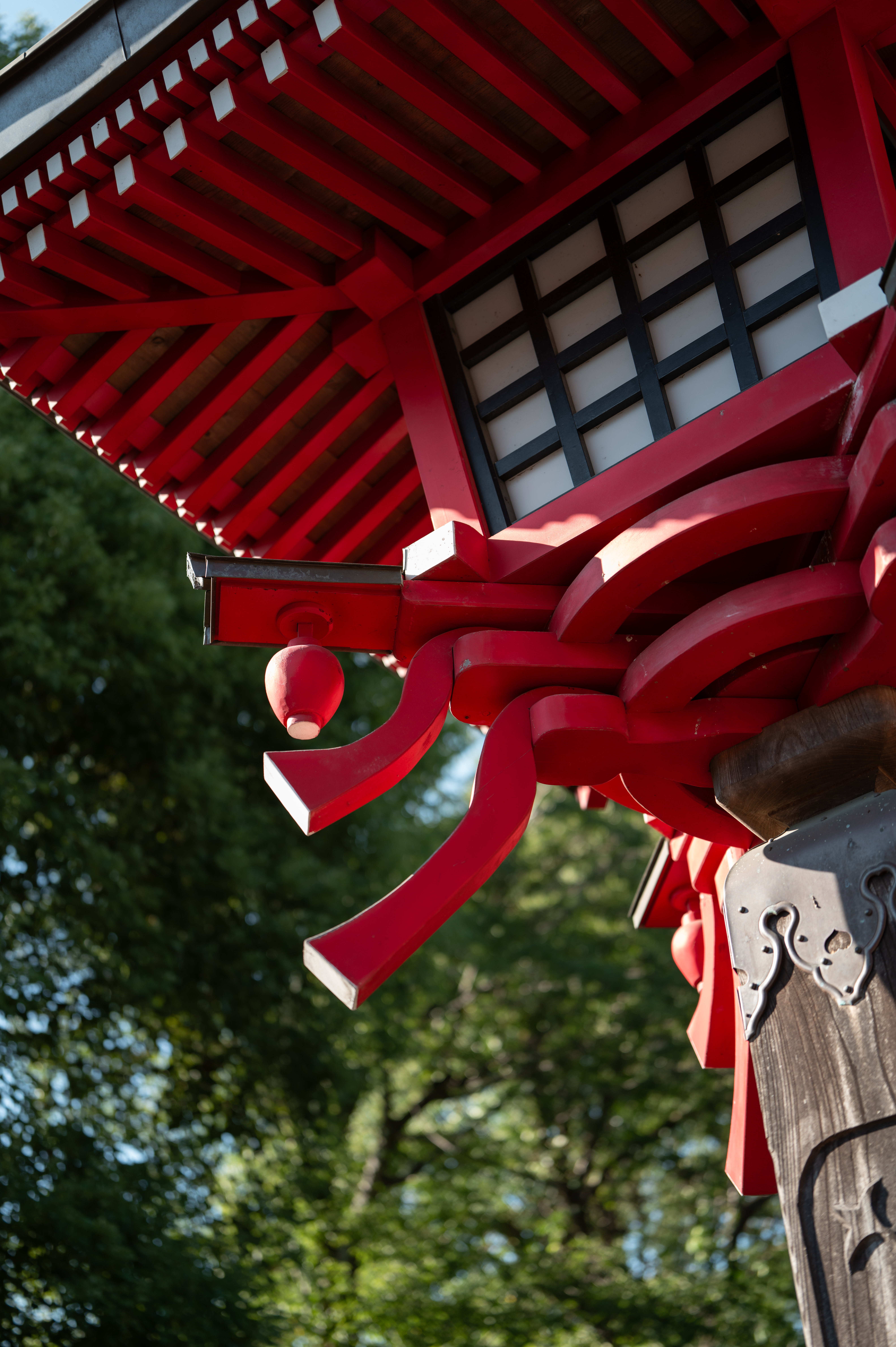 撮っていて感じたのは43mmの万能性。好みもあるが、50mmではなく43mmを採用したのは正解だと思う<br><span class="fnt-85">ライカQ3 43／ライカ アポ・ズミクロン f2/43mm ASPH.／絞り優先AE（F2.0・1/500秒・－0.6EV）／ISO 100</span>