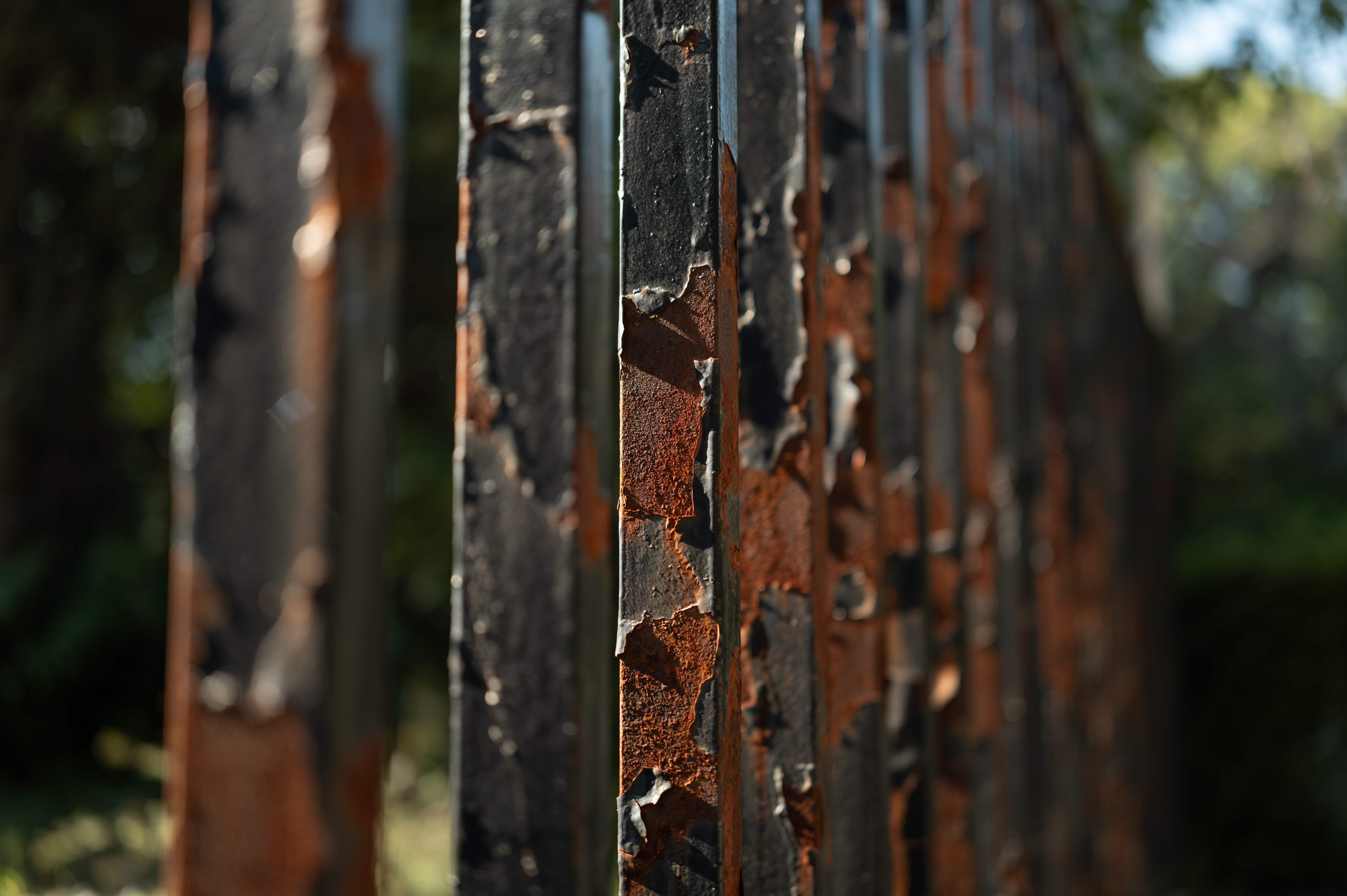 合焦した部分の解像は驚くほど高め。距離に応じてなだらかにボケ量が増す様もとても自然だ<br><span class="fnt-85">ライカQ3 43／ライカ アポ・ズミクロン f2/43mm ASPH.／絞り優先AE（F2.0・1/400秒・－1.3EV）／ISO 100</span>