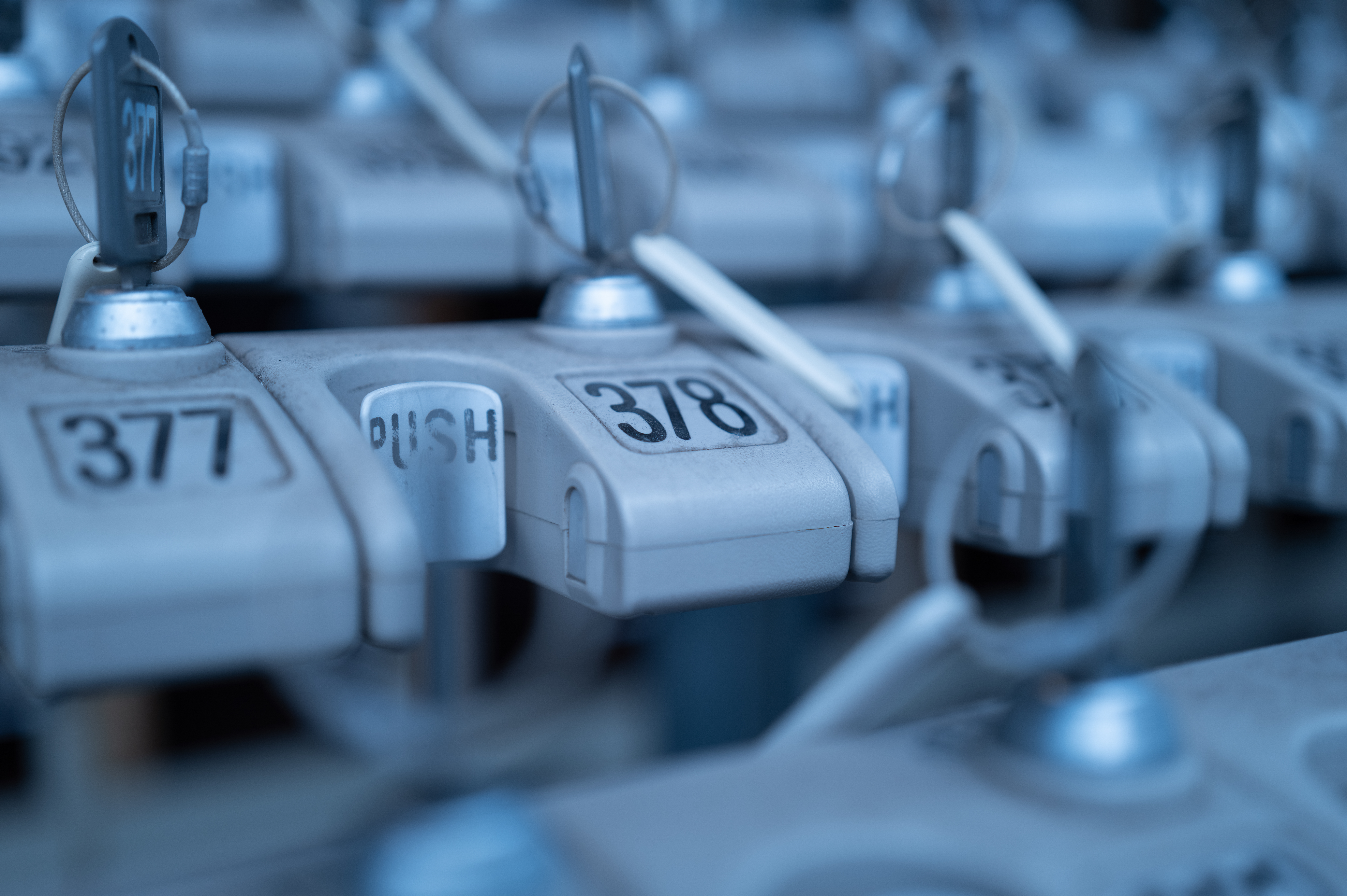 マクロモード切り換え時の最短撮影距離は26.5cmで、43mmという焦点距離の割に近接できる<br><span class="fnt-85">ライカQ3 43／ライカ アポ・ズミクロン f2/43mm ASPH.／絞り優先AE（F2.8・1/80秒・－0.6EV）／ISO 100</span>